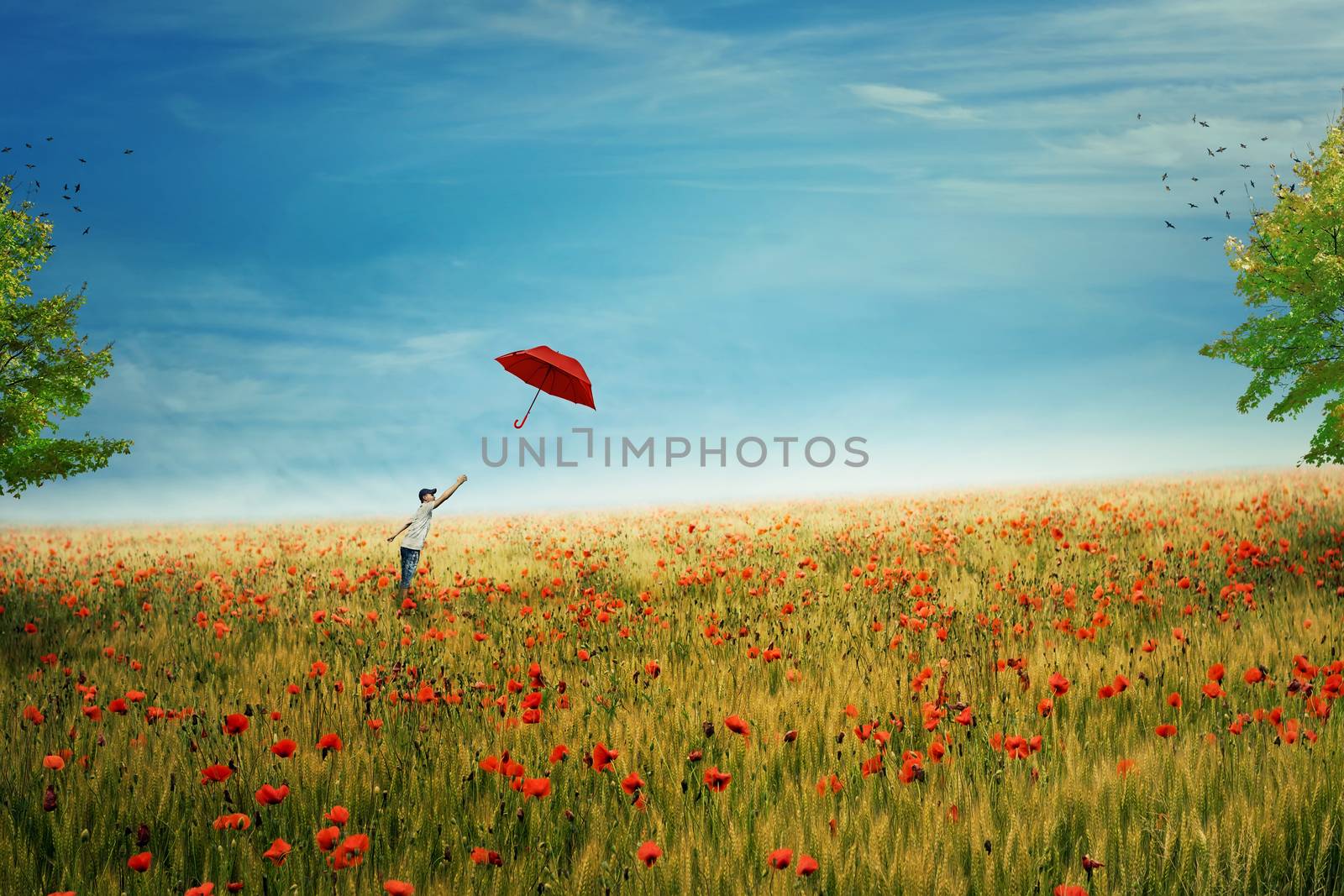Young boy stand on a country meadow with million of red poppies, trying to catch his red umbrella that fly to the sky. The pursuit of happiness and success concept. Life joy, fun and happiness.