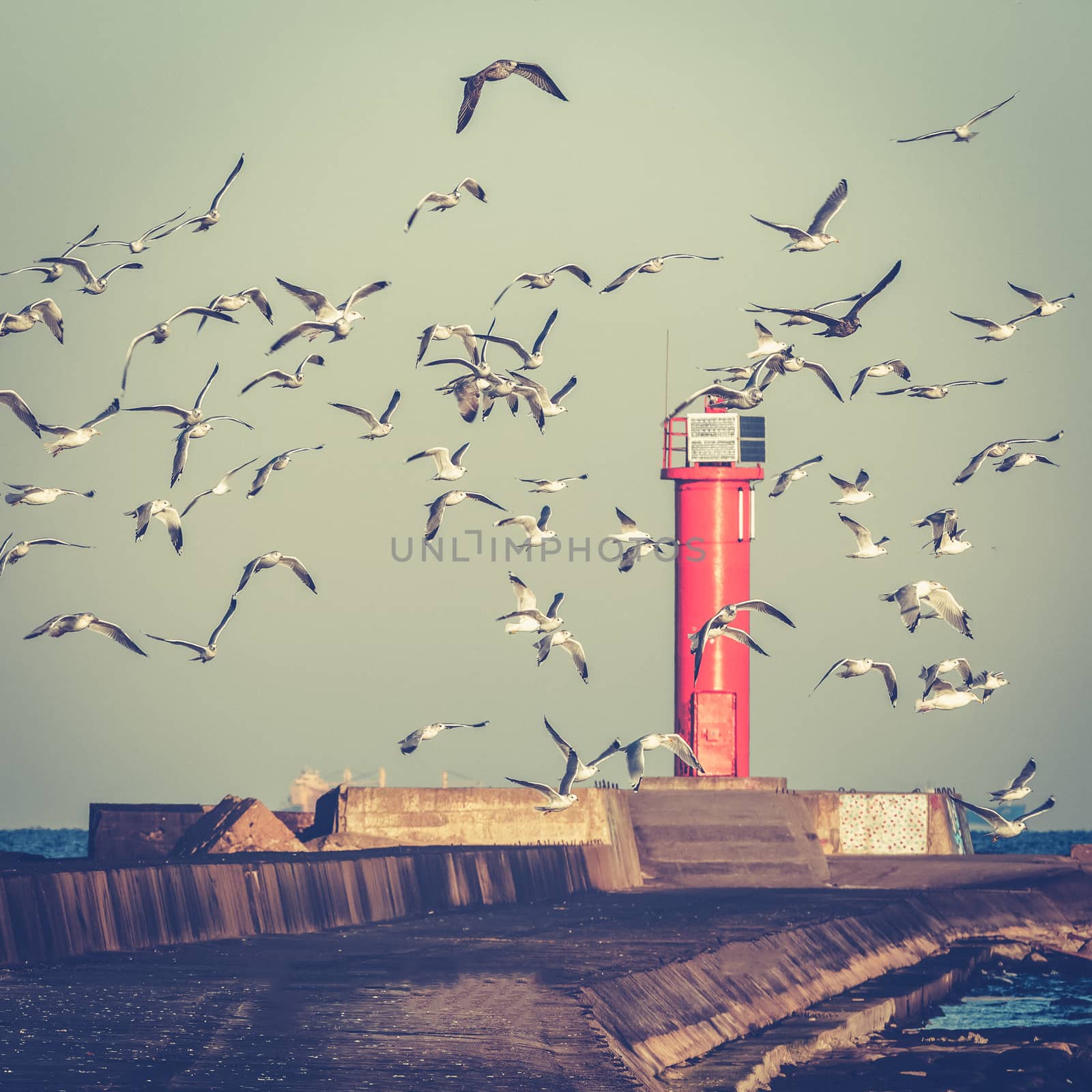 White seagulls flying against the red lighthouse