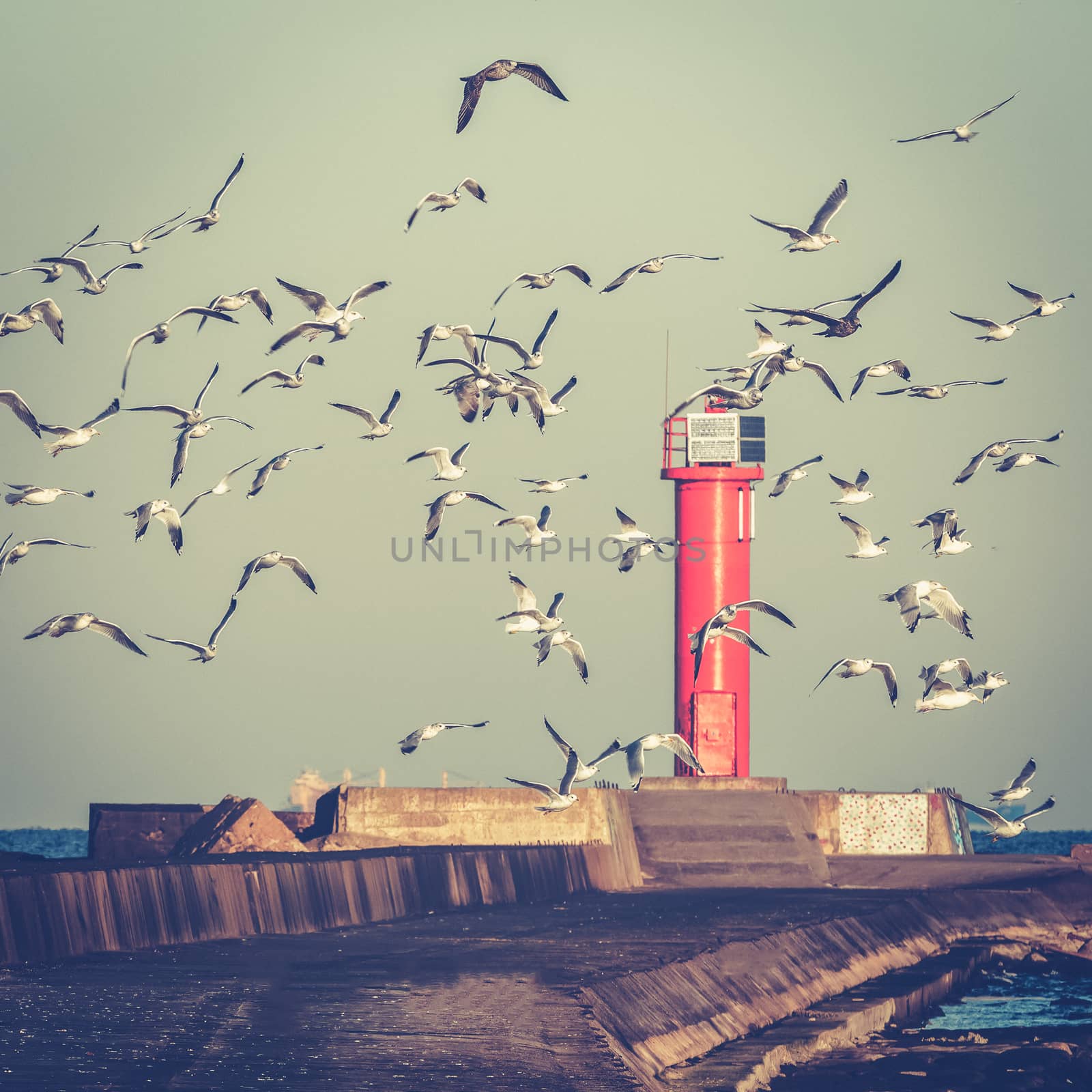 Seagulls against lighthouse by sengnsp