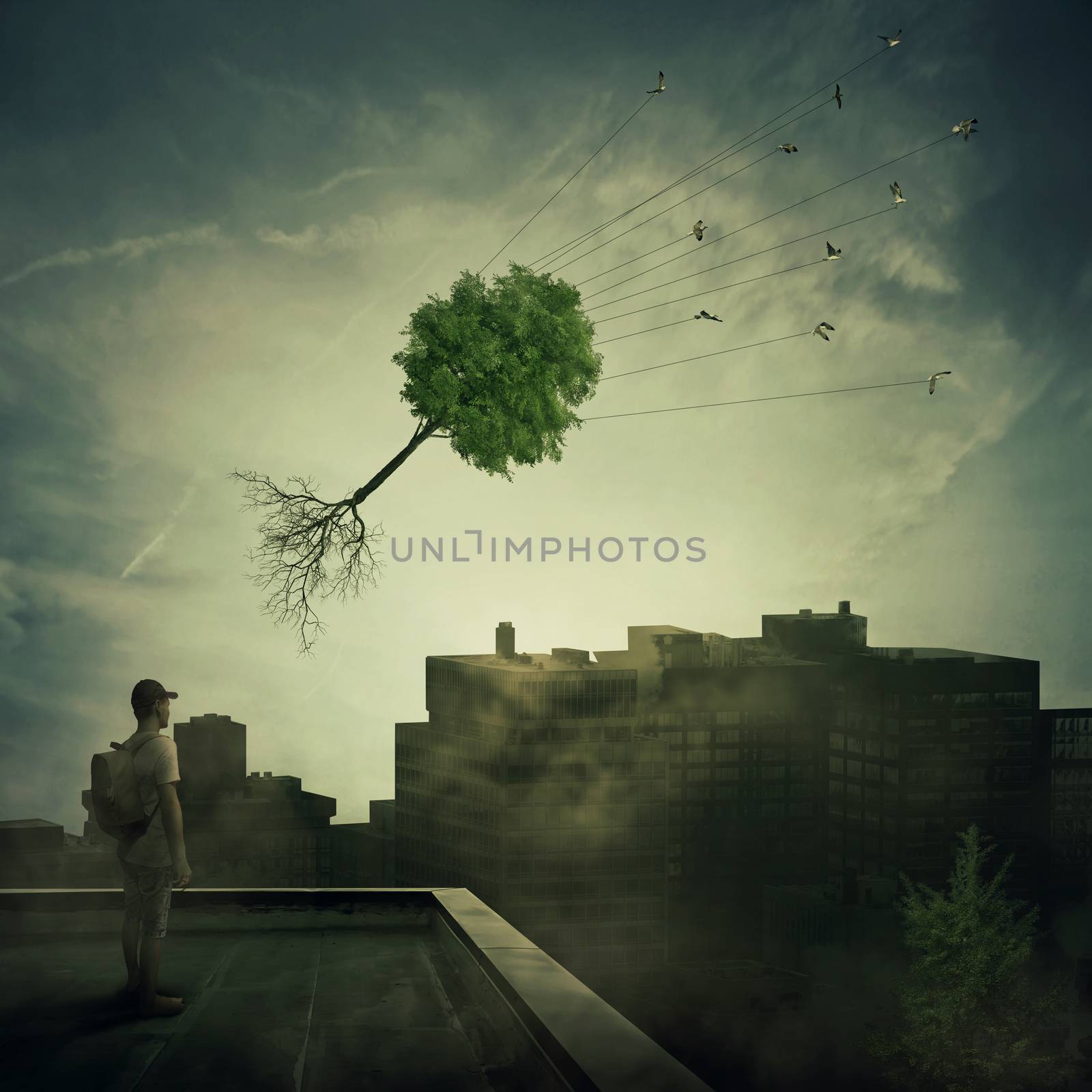Surreal view as a boy stand on the rooftop looking at a flock of birds carrying a tree pulled from roots, flying over the polluted, foggy city. Town conservation and greening concept.