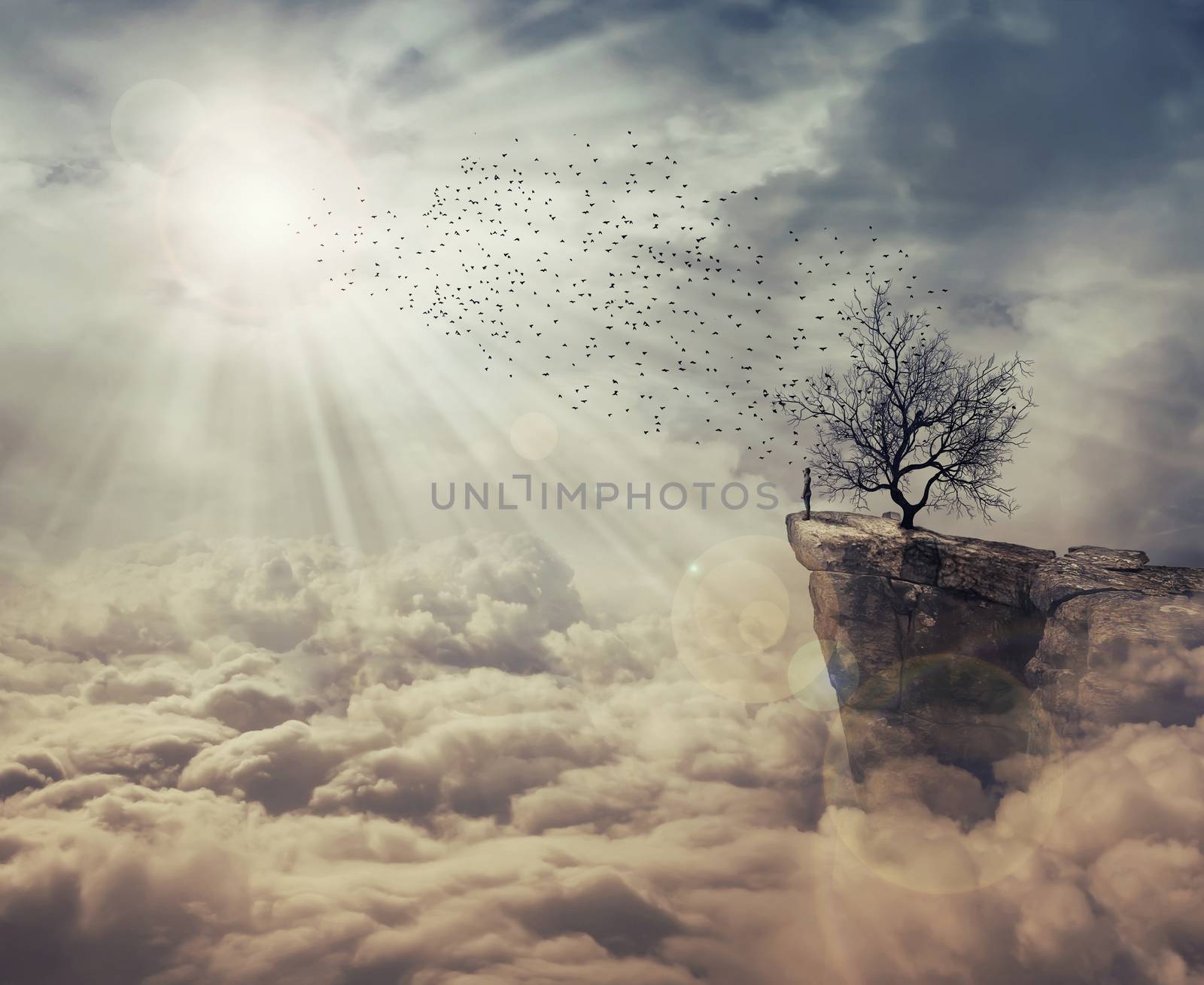 Young man standing on the peak of a cliff over clouds watching at a flock of birds flying from a strange, bare tree. The tree of death symbol, journey and discover.