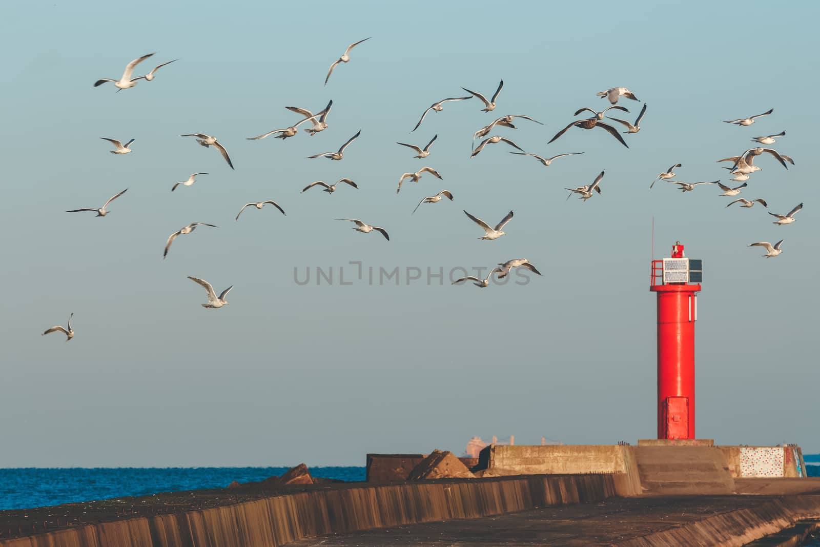 White seagulls flying against the red lighthouse
