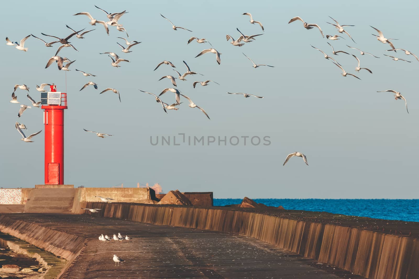 White seagulls flying against the red lighthouse