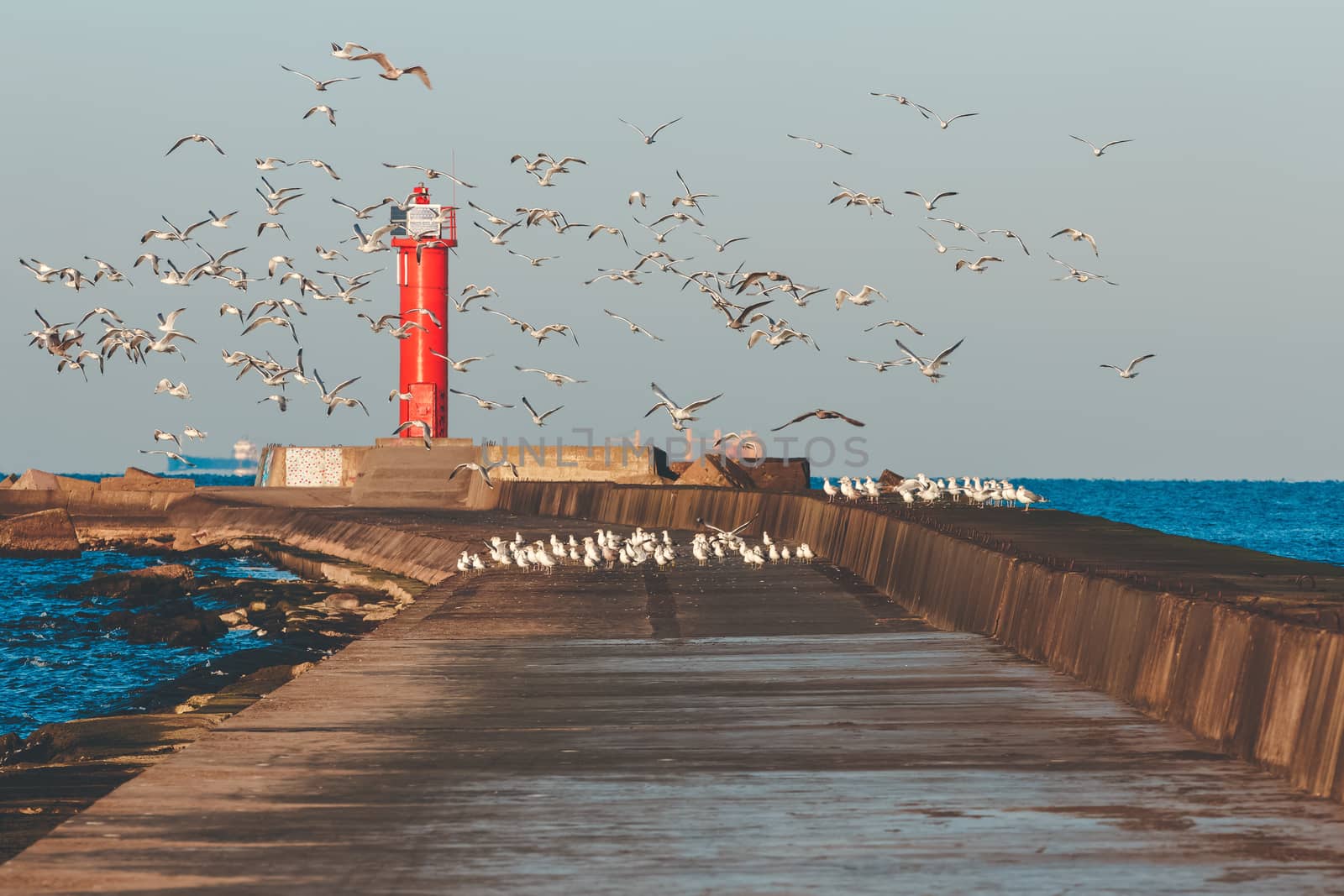 White seagulls flying against the red lighthouse
