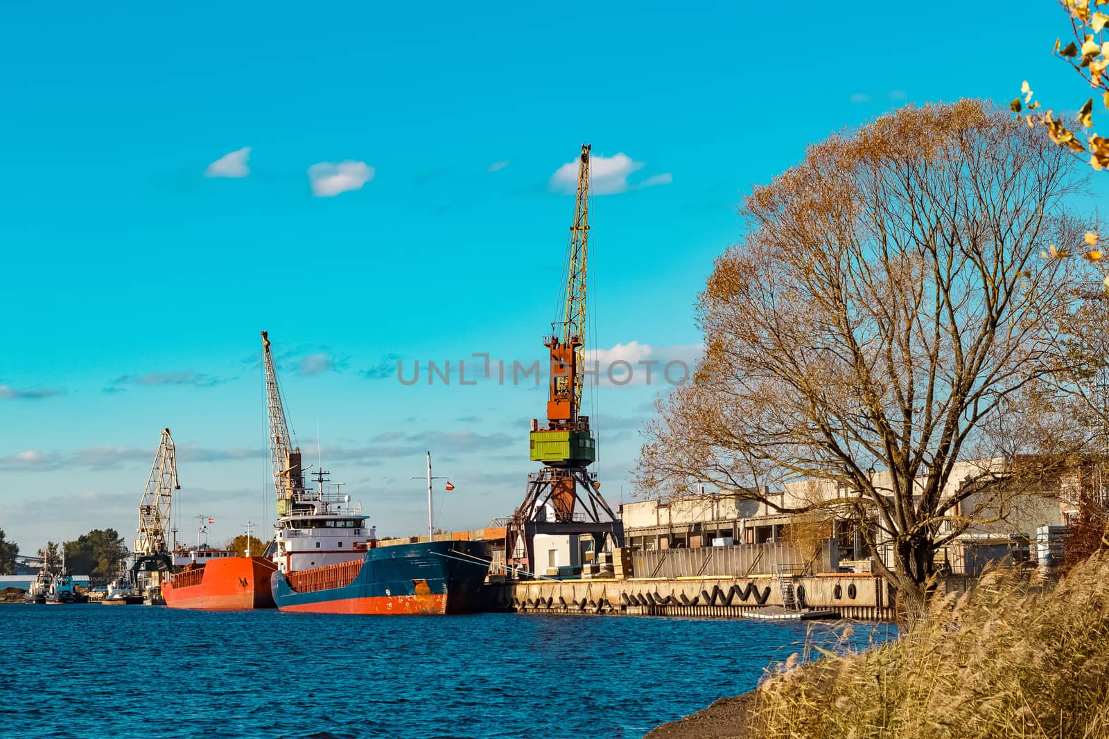 Blue cargo ship moored and loading at the port