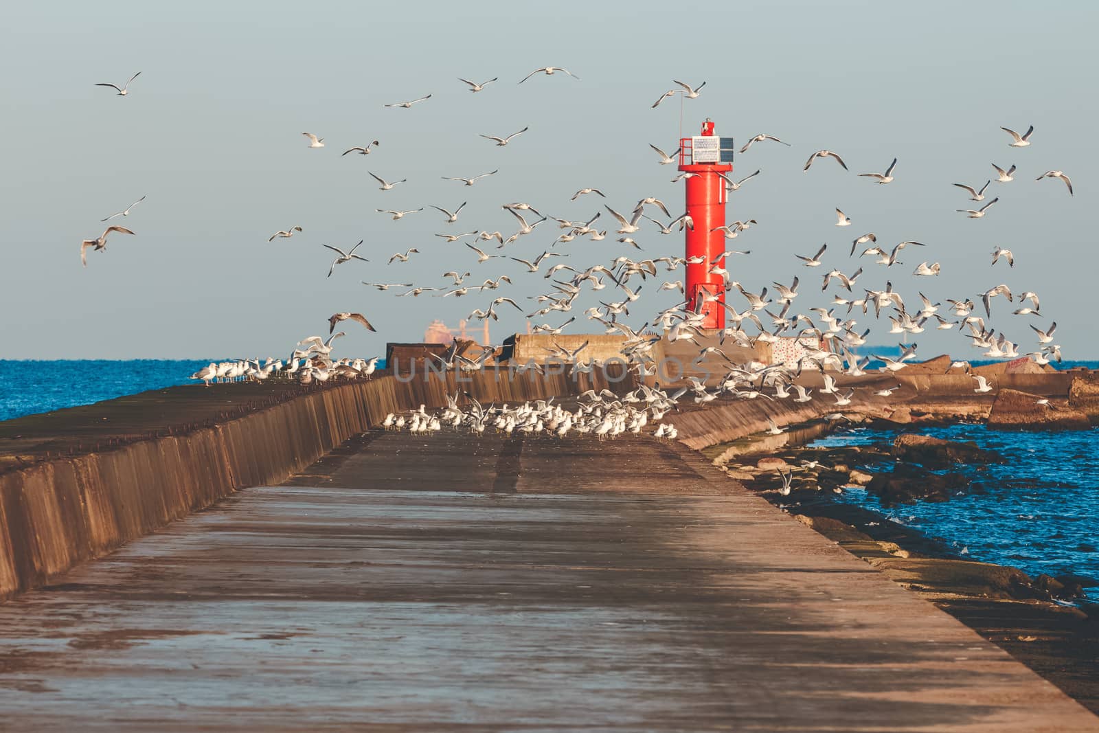White seagulls flying against the red lighthouse