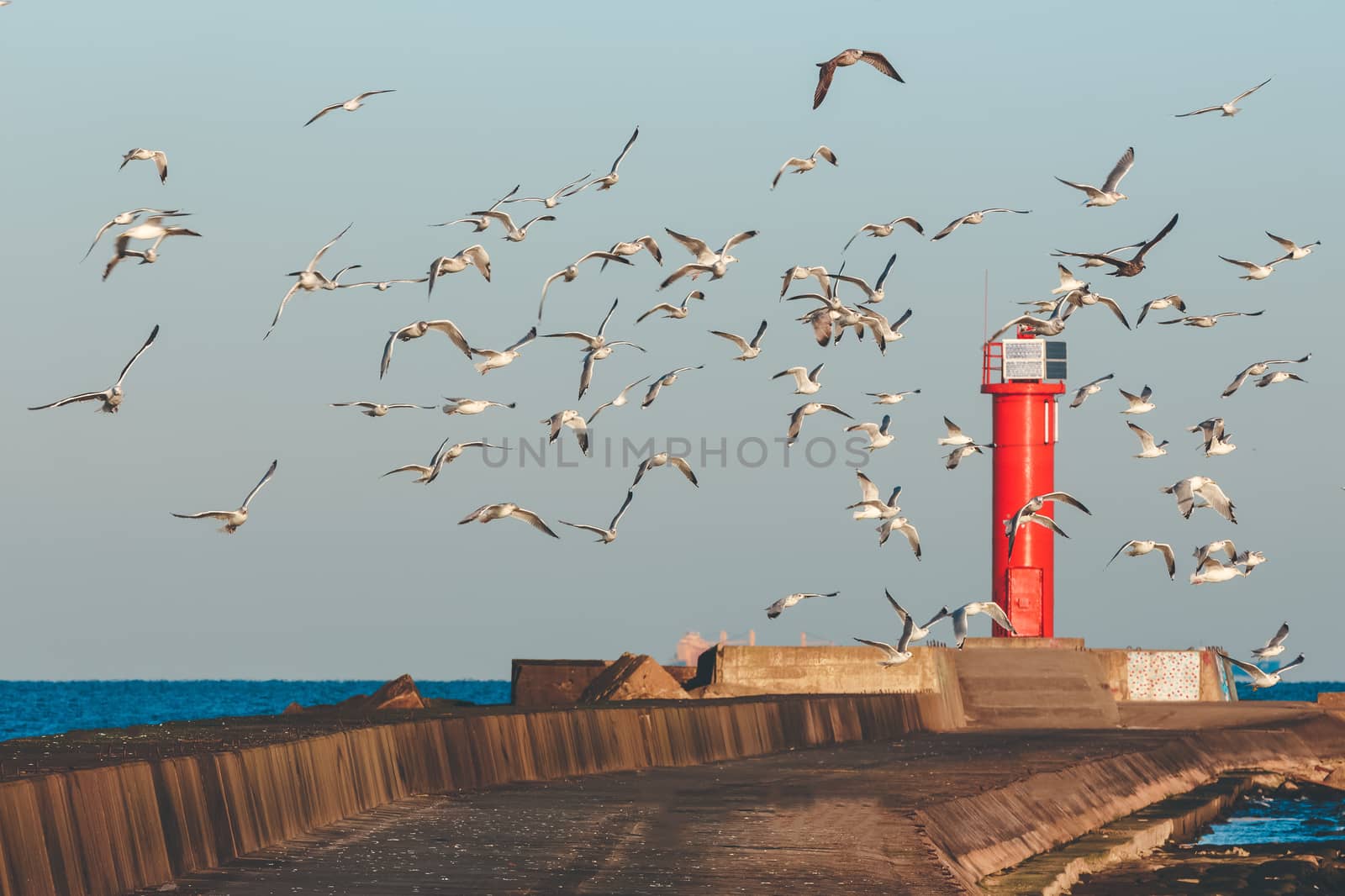 White seagulls flying against the red lighthouse