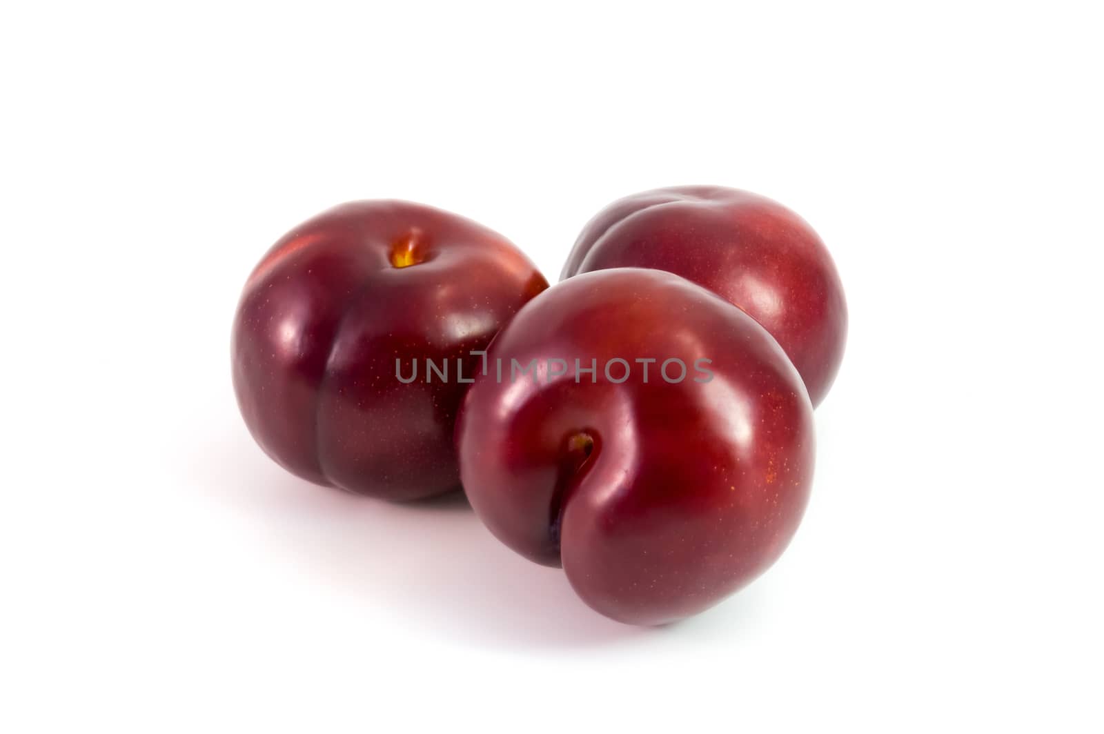 Prunes Plum fruit isolated on white by chingraph