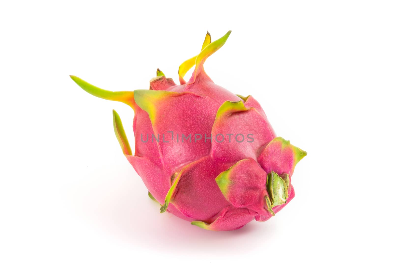 Pitaya fruit isolated on white