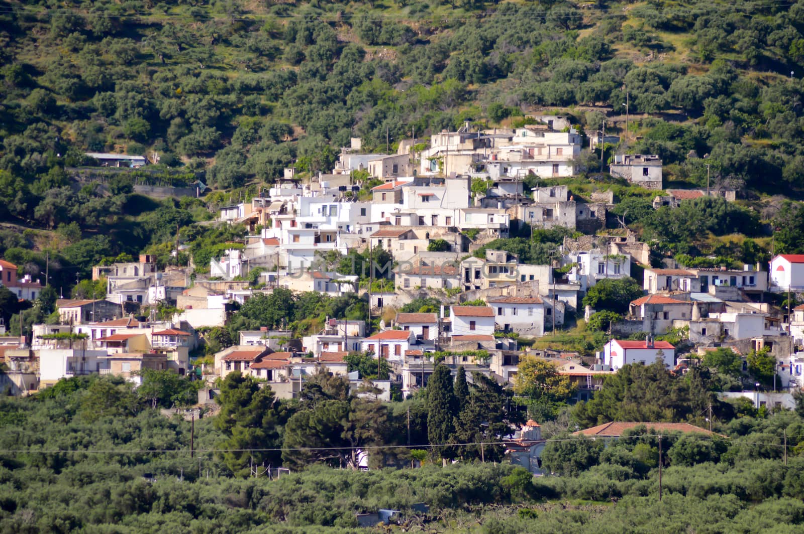 Village Cretan perched on a hill among olive trees and trees