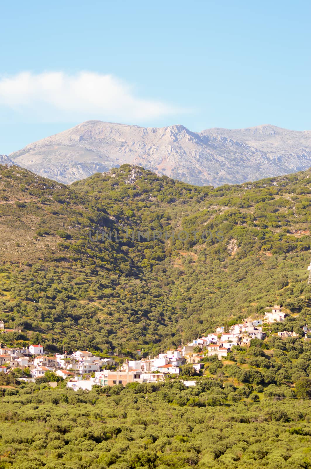 Village Cretan perched on a hill among the olive trees and trees with mountains in the background