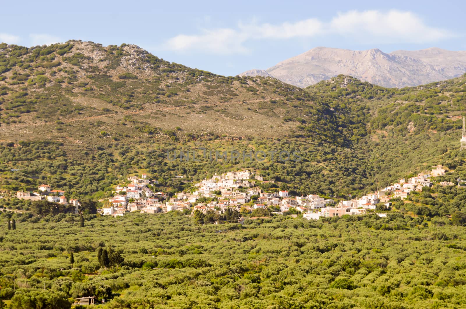 Village Cretan perched on a hill among the olive tree by Philou1000