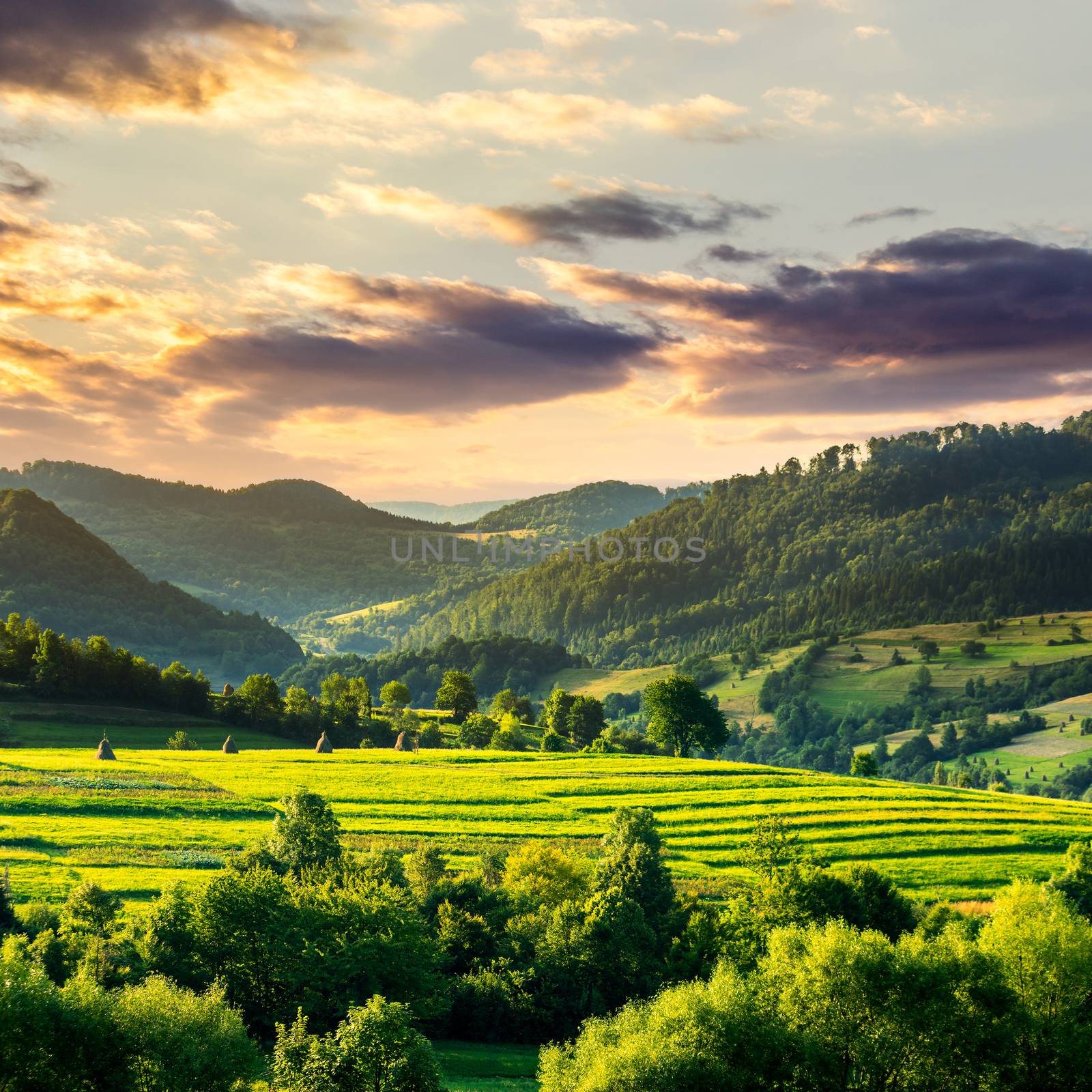 Summer land scape . Stack of hay on a green meadow in the mountains