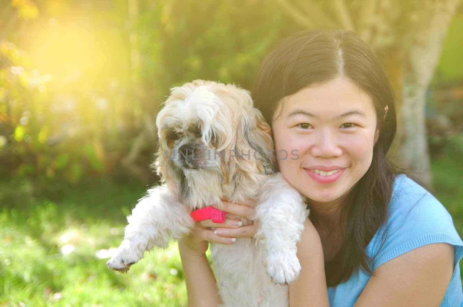 Young beautiful asian girl with the shizhu dog in the park.