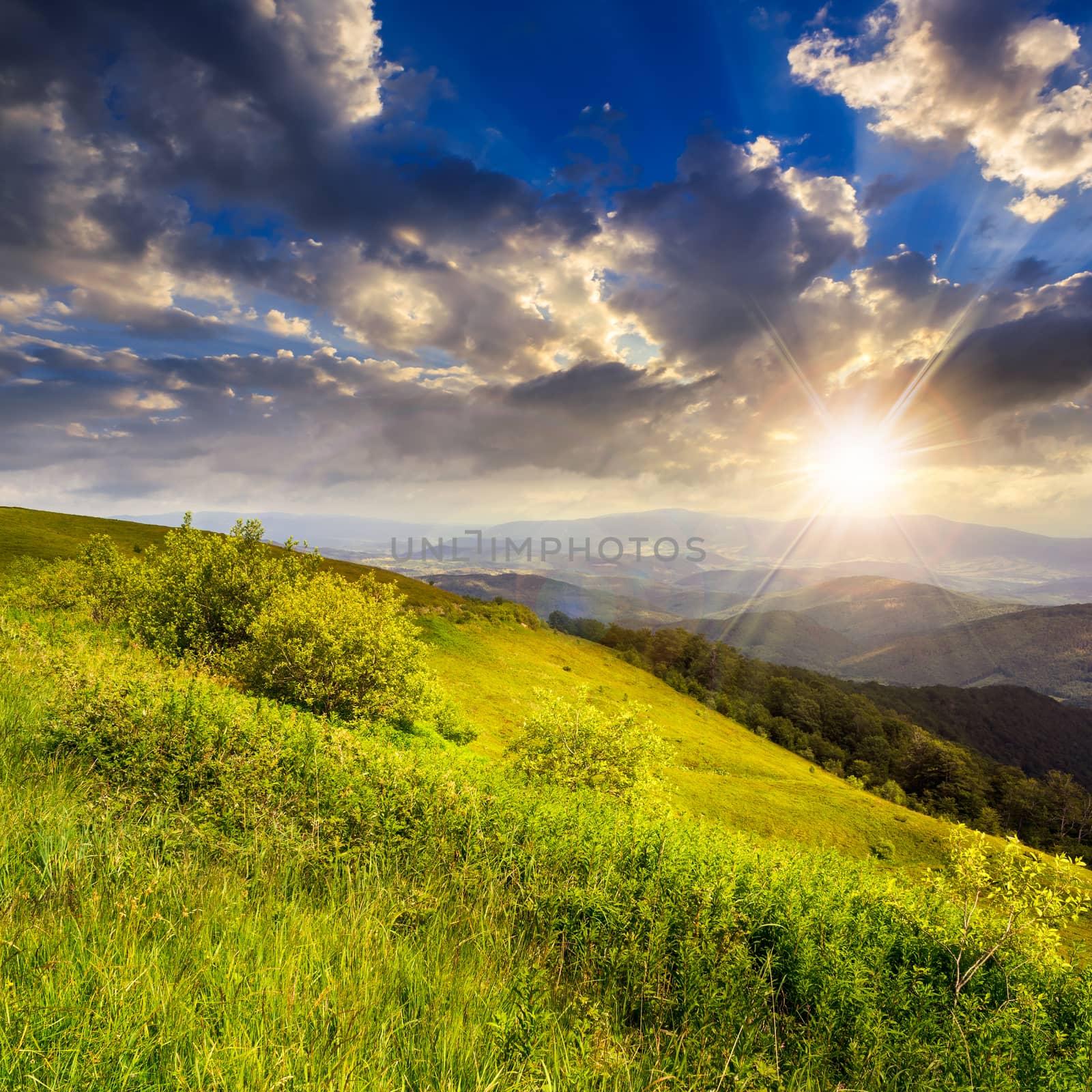 mountain landscape. valley near the forest on the mountain slope at the top of the hill at sunset