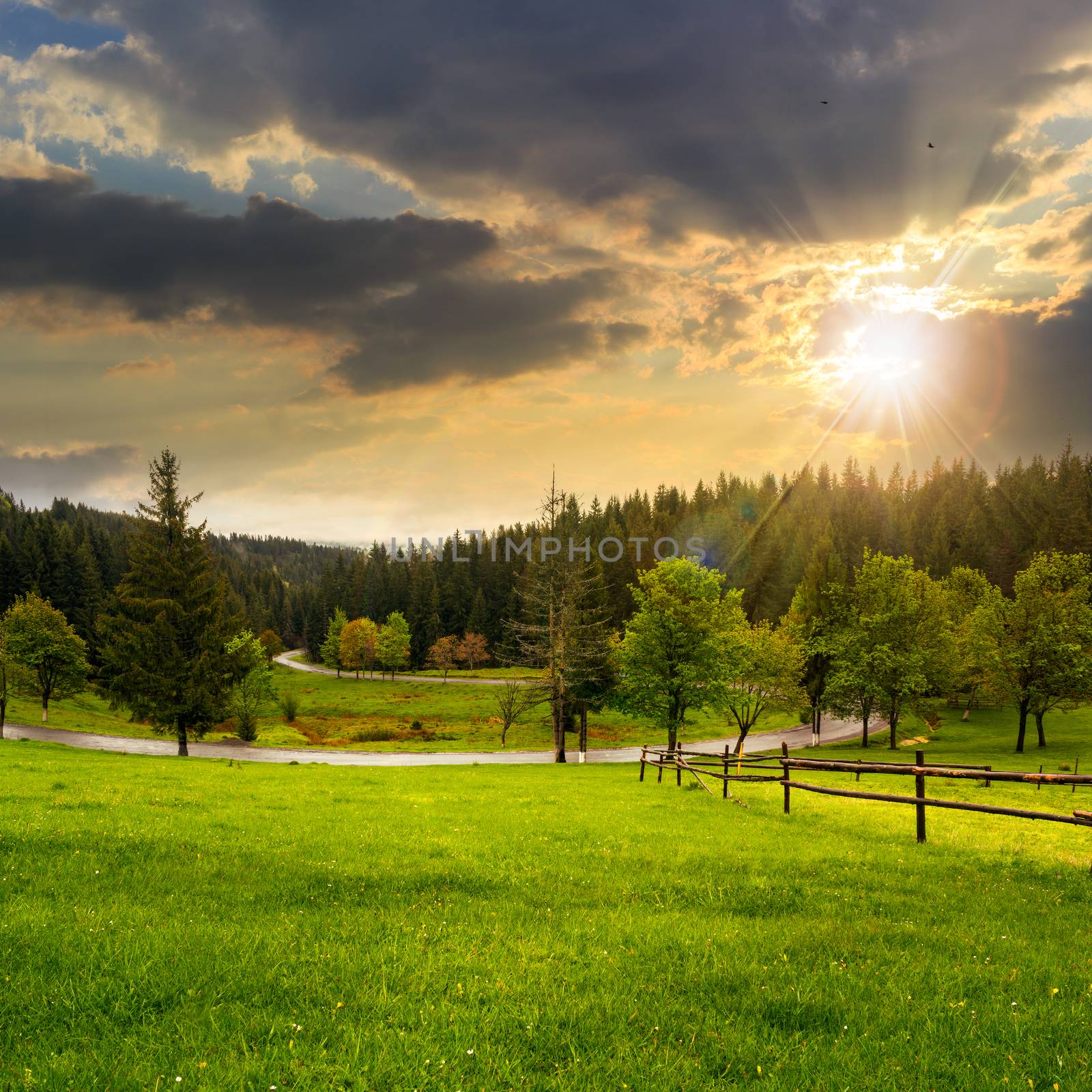 summer mountain landscape. curve asphalt road and wooden fence near the meadow on hillside with forest at sunset