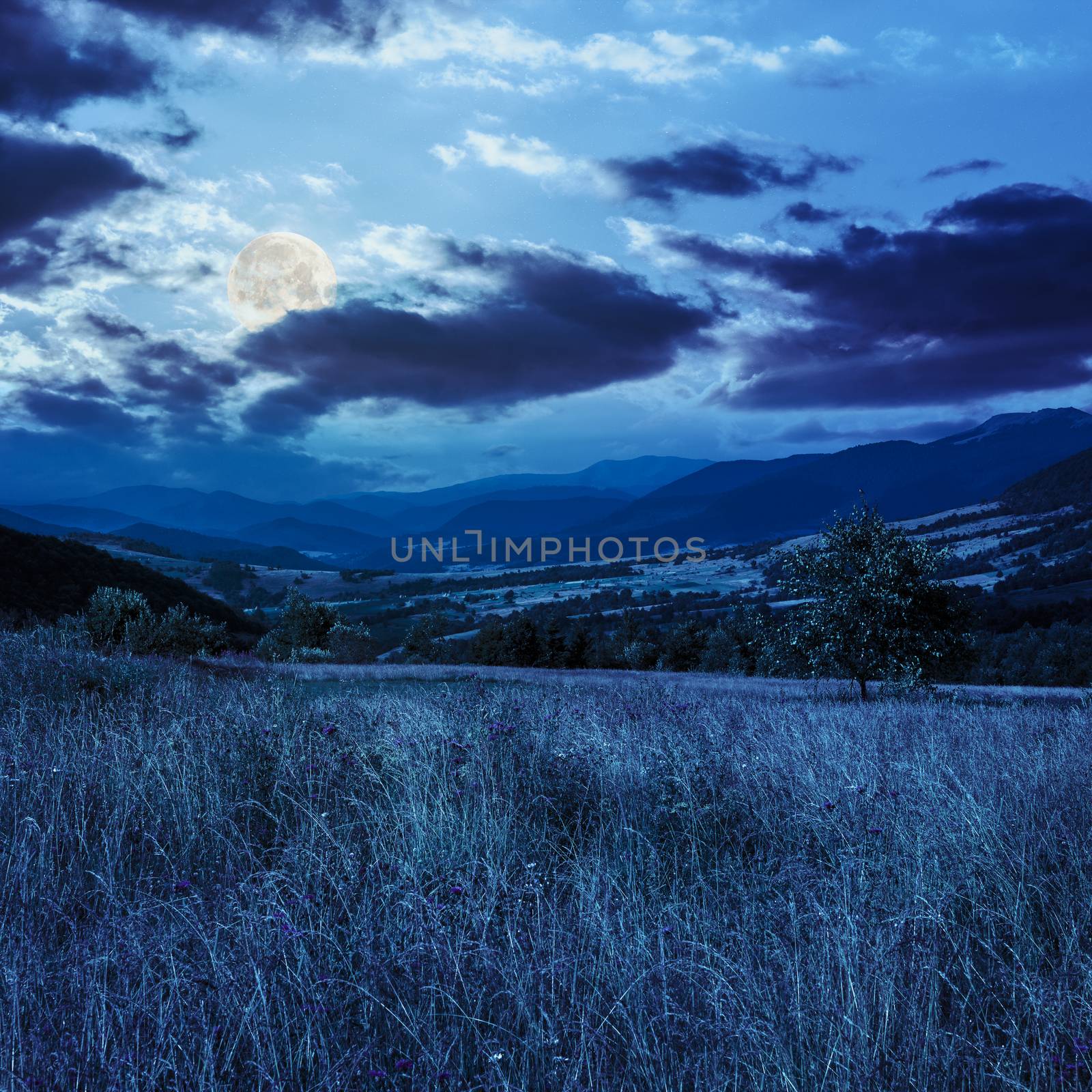 summer counrtyside landscape with tree on meadow in mountains and haystacks on a far green slope at night in full moon light