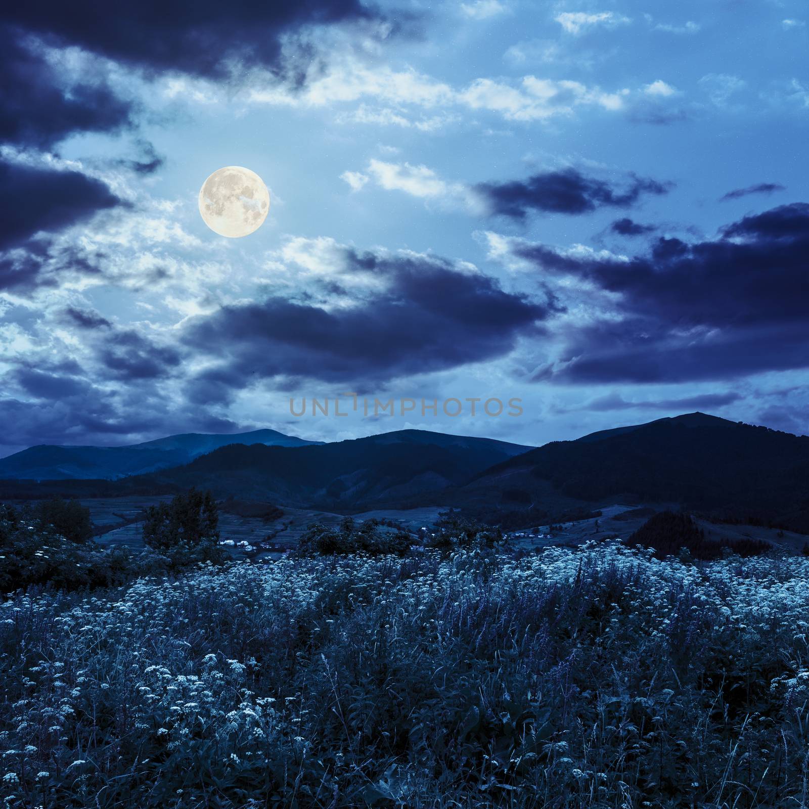 high wild grass and flowers on hillside near the village at mountain foot at night in full moon light