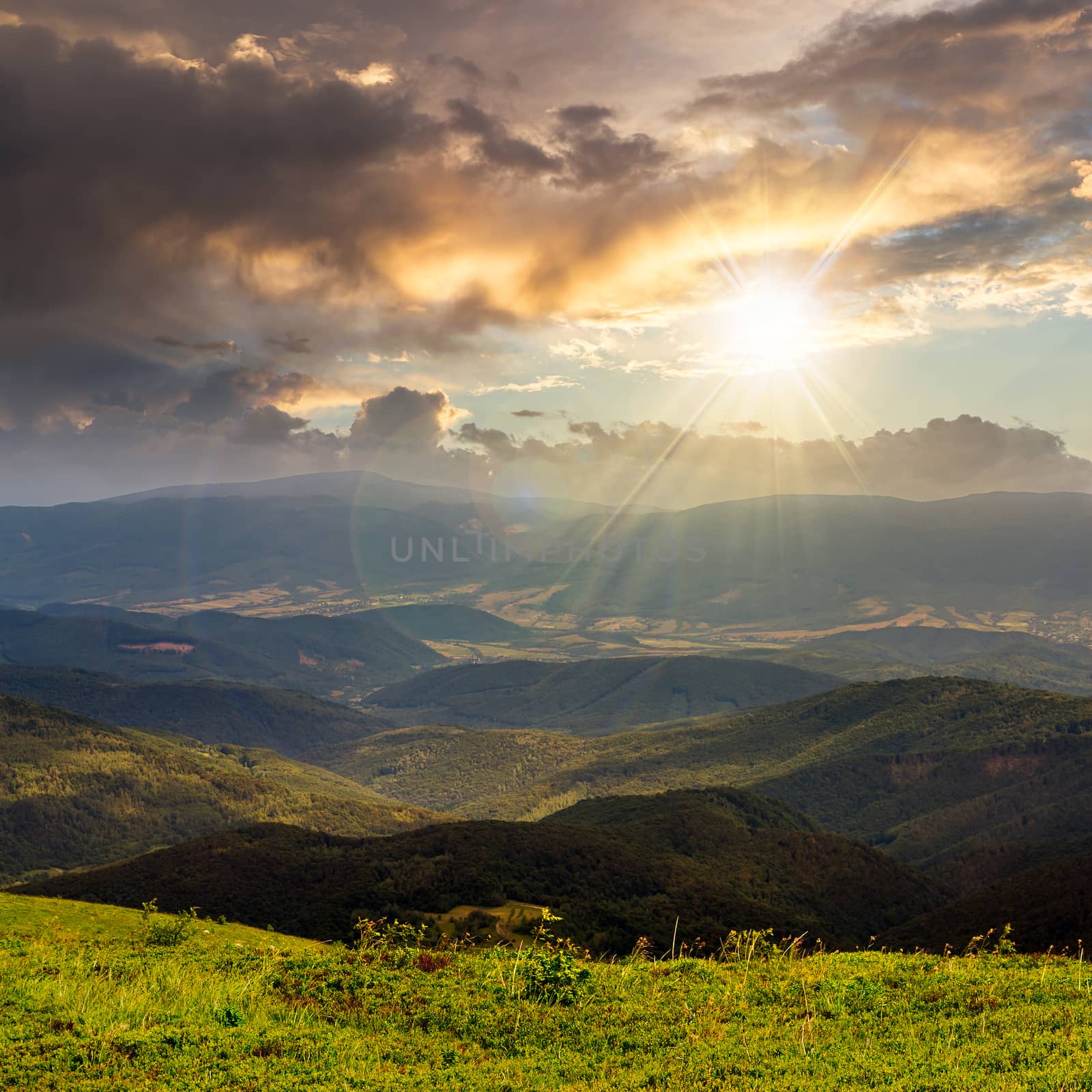 wild grass on hillside at the top of the mountain range at sunset