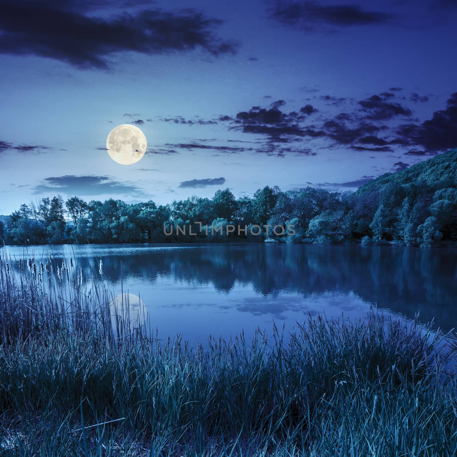 view on lake near the forest on mountain background at night in full moon light