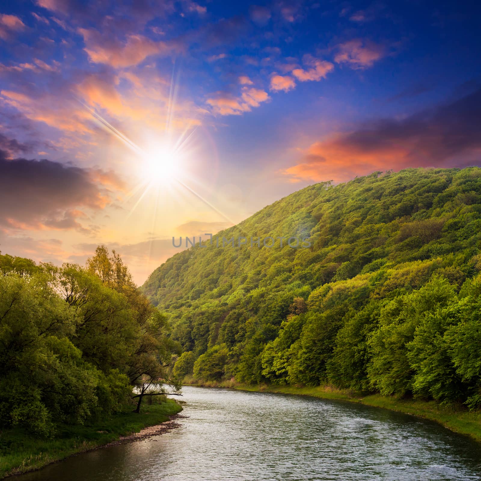 river flowing between green mountains through the forest at sunset