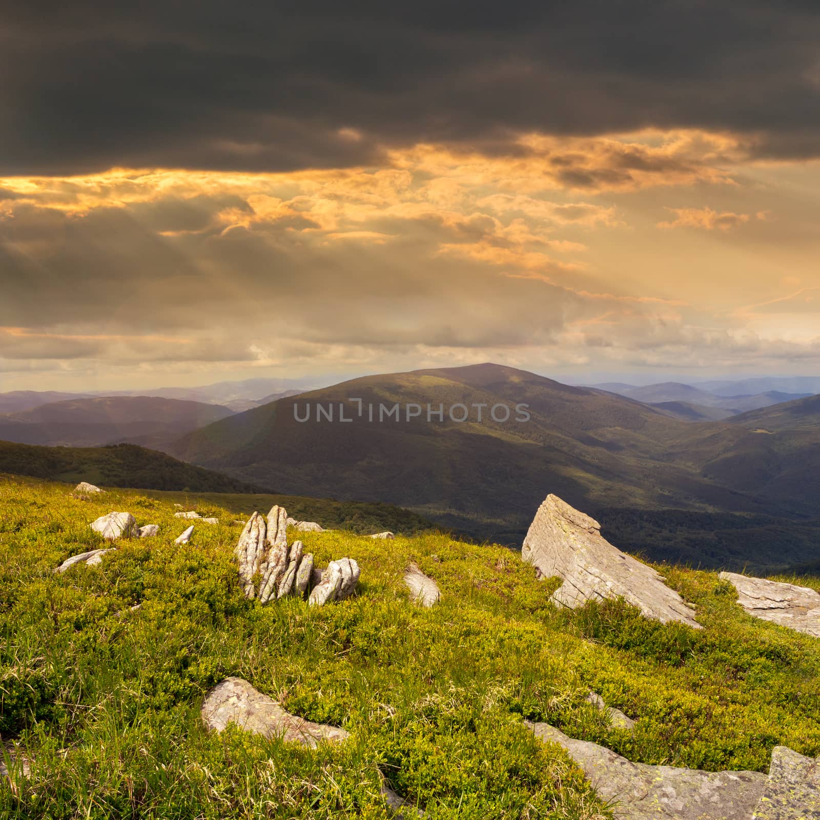 white sharp stones on the hillside at sunset