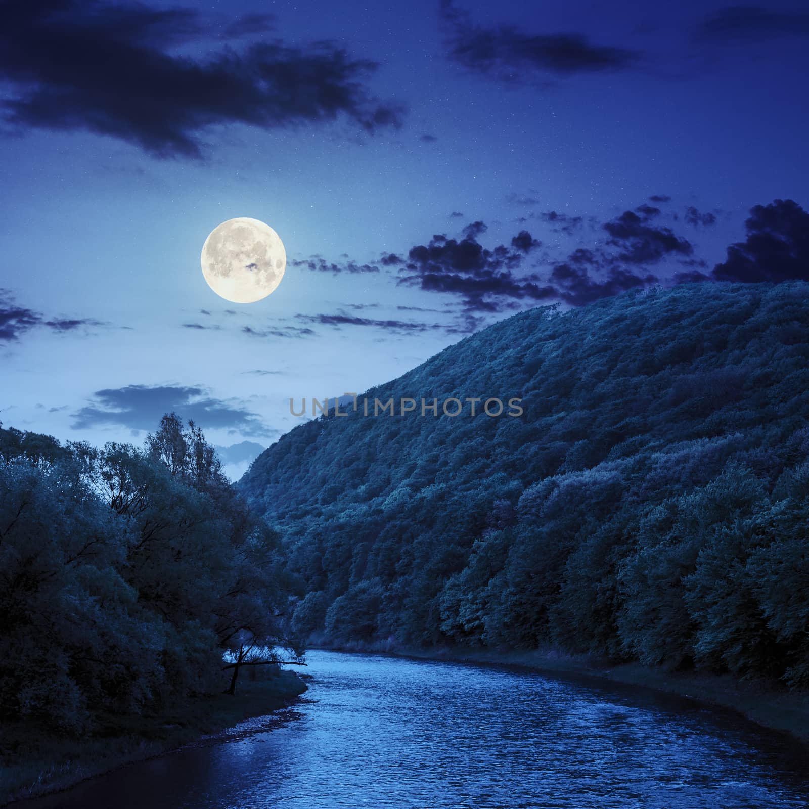 river flowing between green mountains through the forest at night in fool moon light
