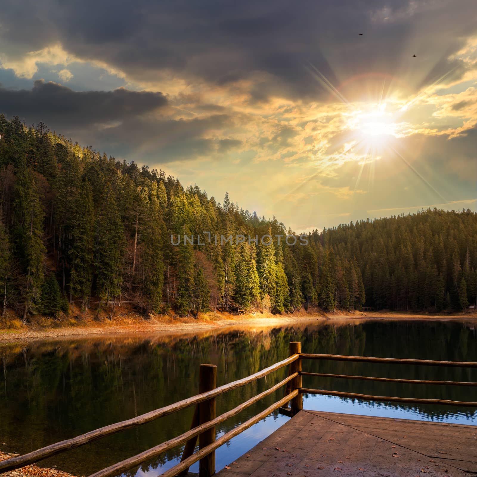 view on lake near the pine forest  on mountain background in autumn at sunset