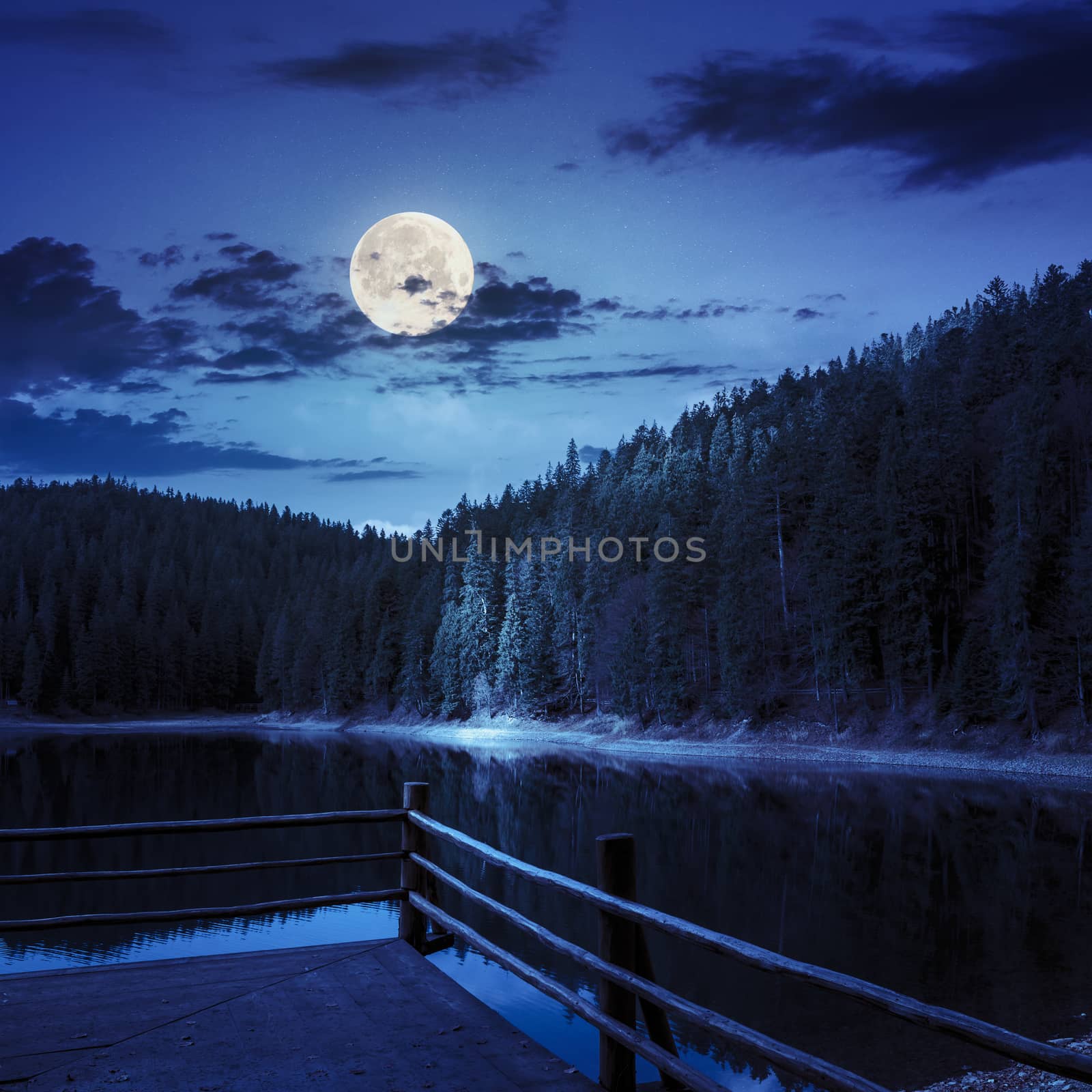 view on lake near the pine forest  on mountain background in autumn at night in full moon light