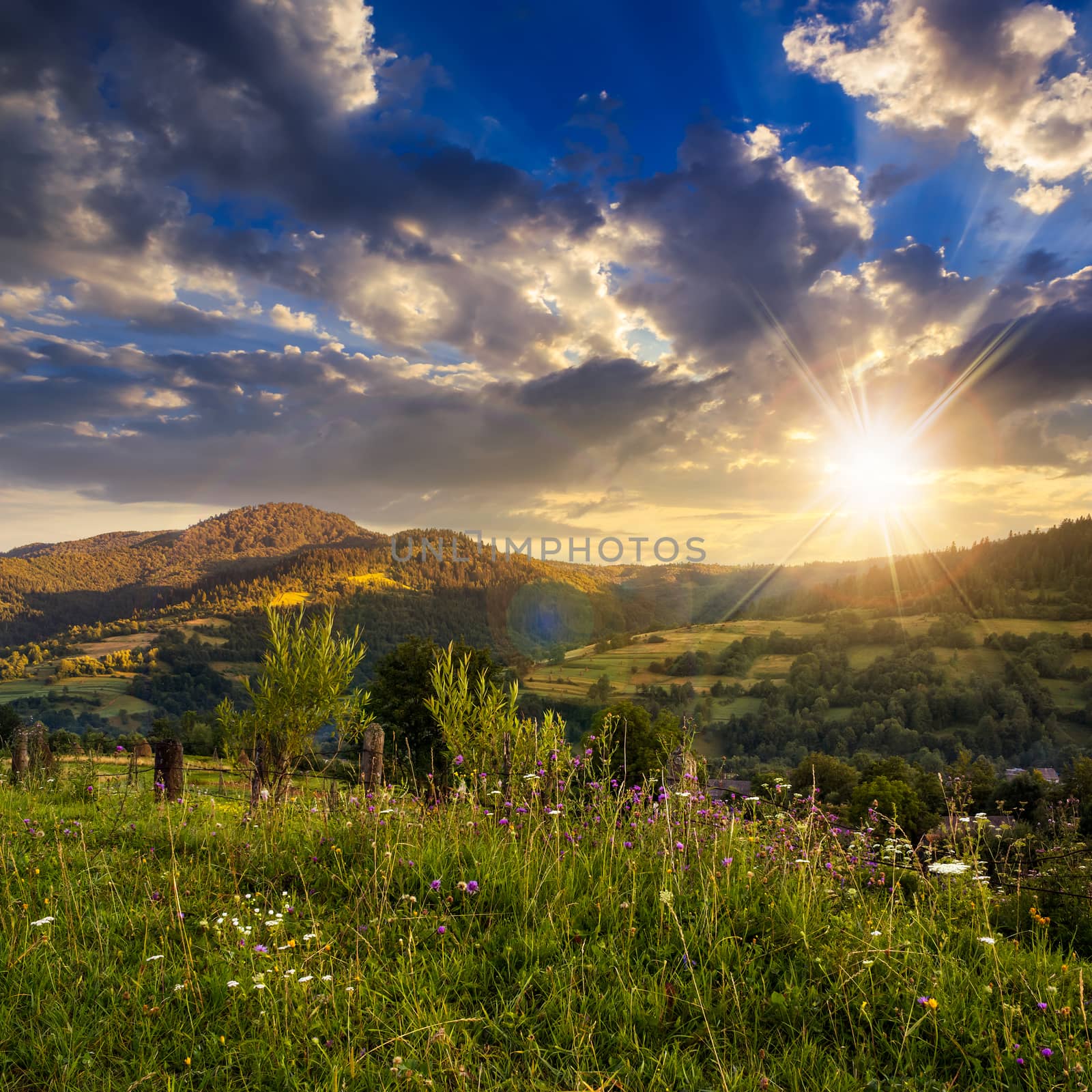 rural landscape. village on the hillside. forest on the mountain light fall on clearing on mountains at sunset