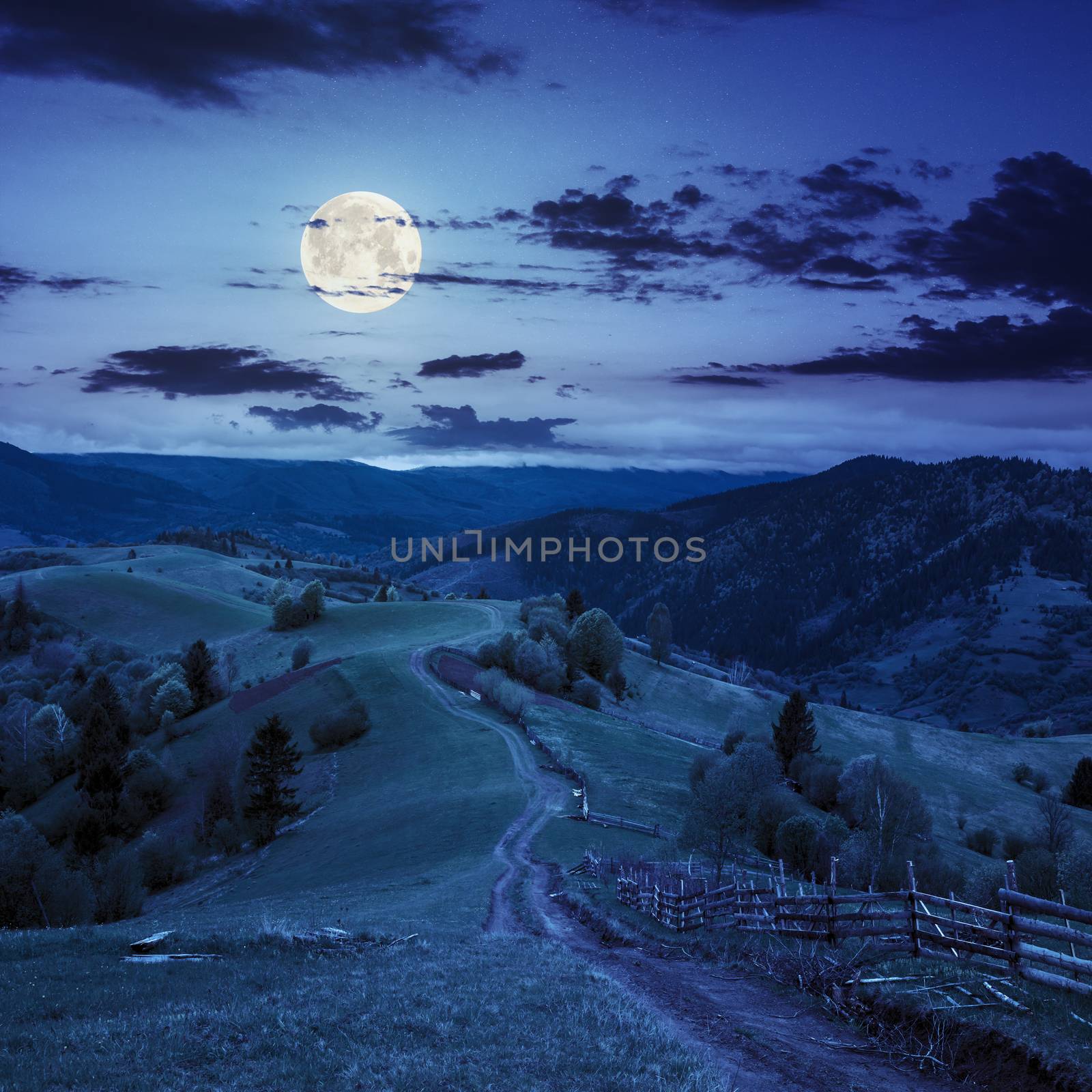 fence on hillside meadow in mountain by Pellinni