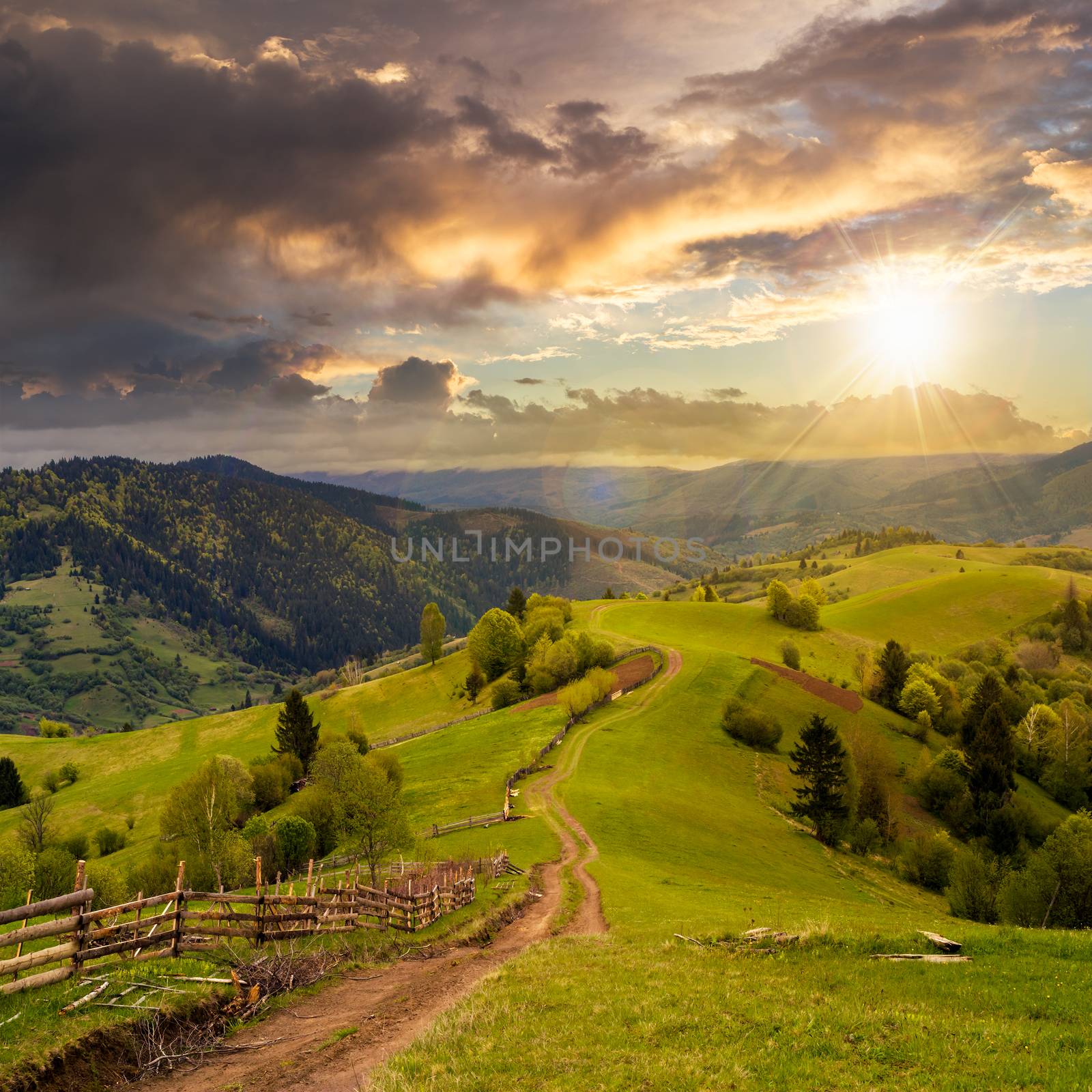 fence on hillside meadow in mountain by Pellinni