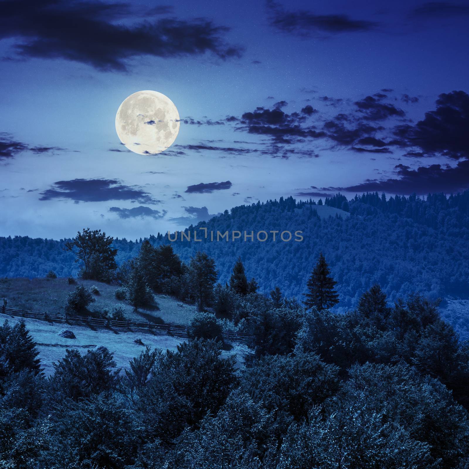 summer landscape. fence near the meadow path on the hillside at night in full moon light