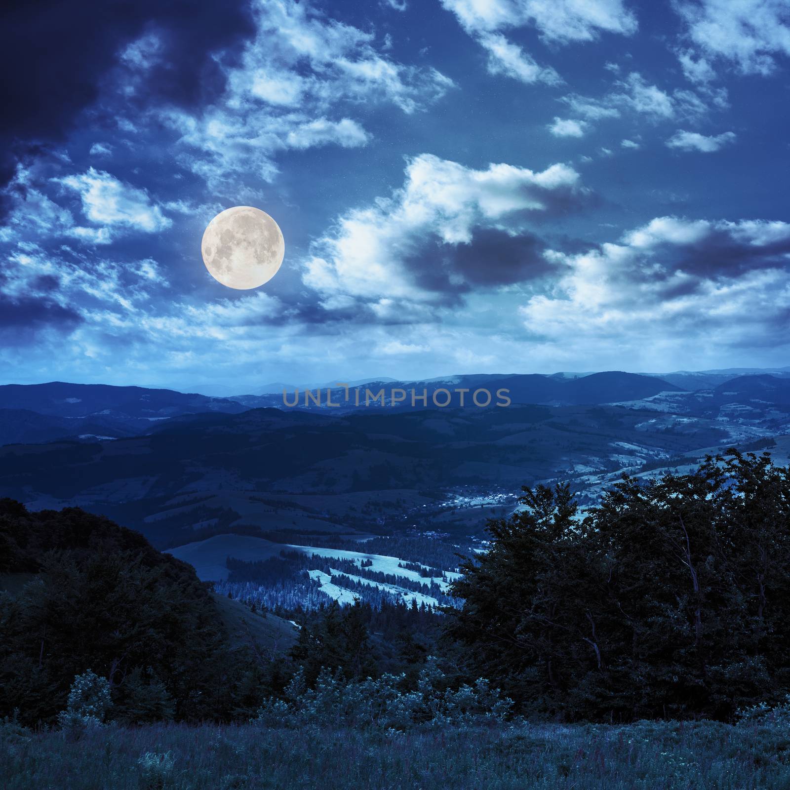 summer landscape. village in valley at the mountain foot is seen behind the trees on mountain slope at night in full moon light