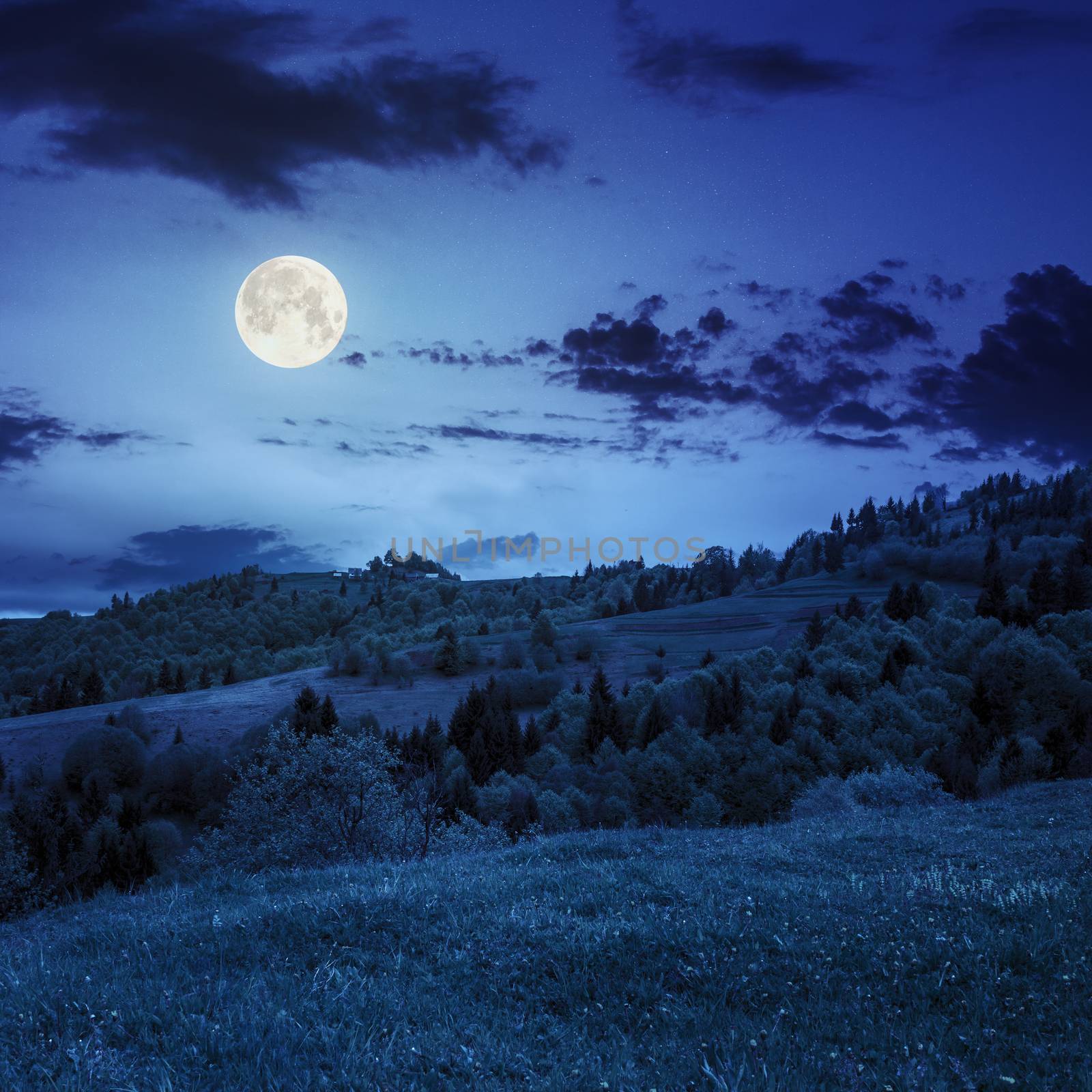 village on hillside meadow with forest in mountain at night by Pellinni