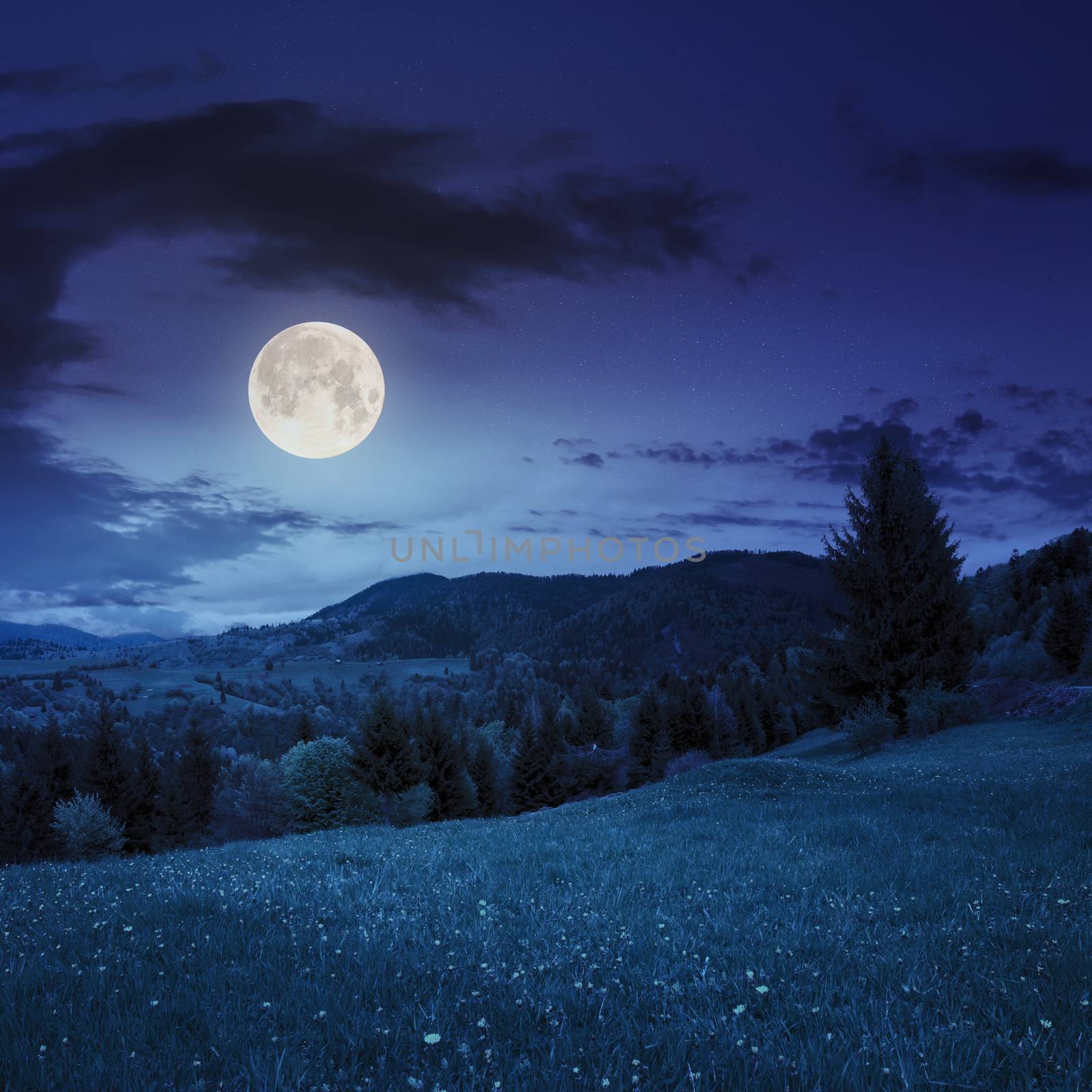 meadow slope of mountain range with coniferous forest and village at night in full moon light
