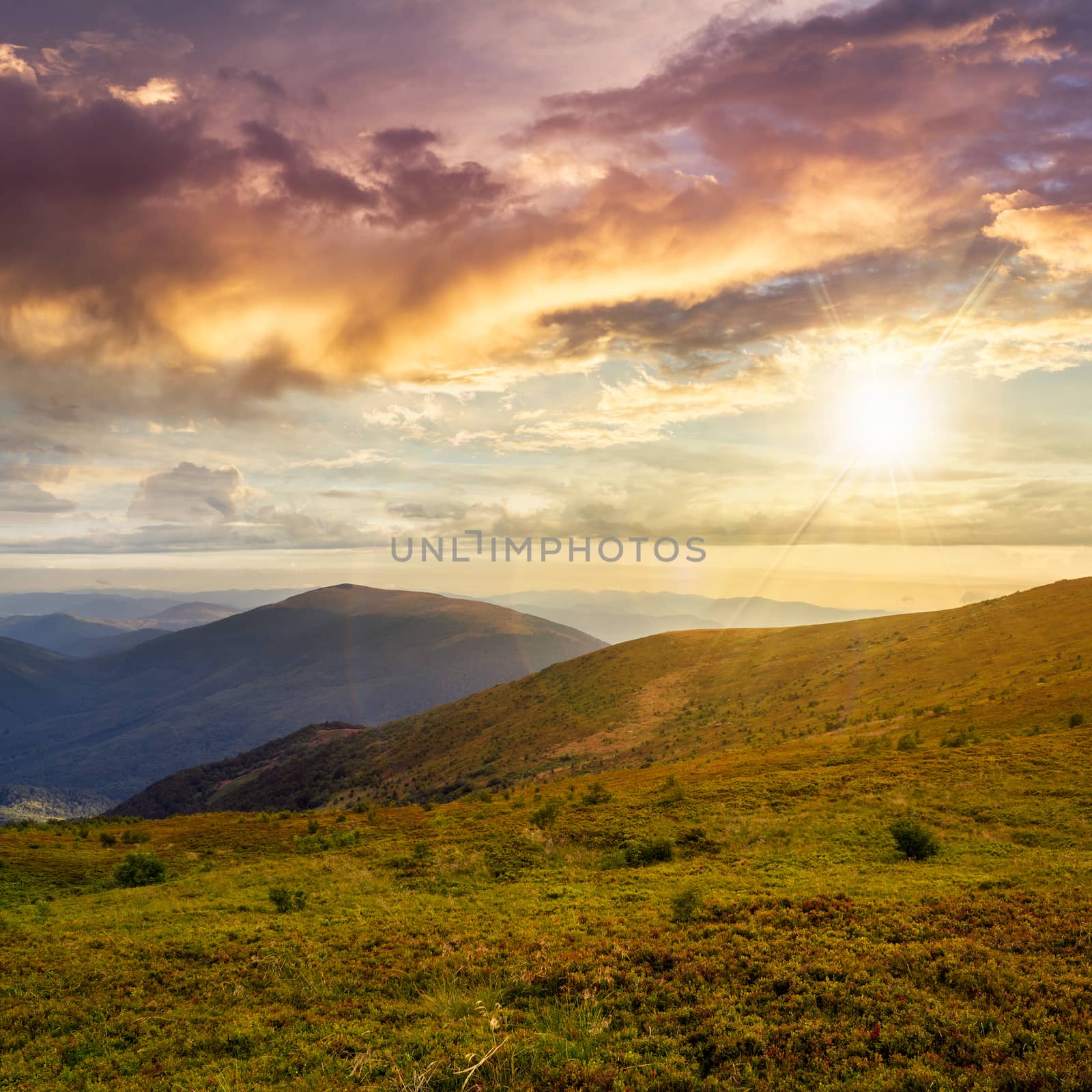 wild grass on a slope of a high mountain at sunset