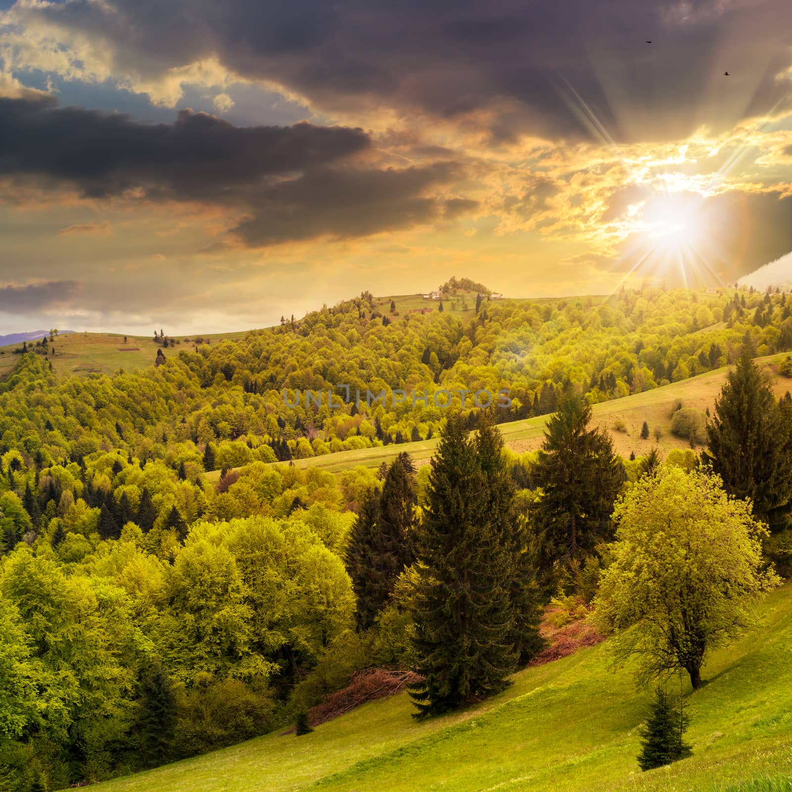 village on hillside meadow with forest in mountain at sunset by Pellinni