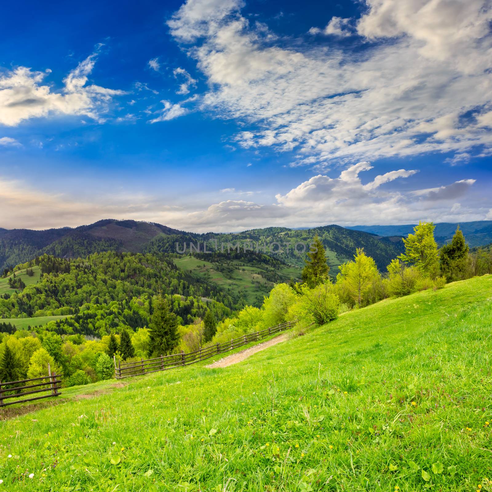 fence on hillside meadow in mountain by Pellinni