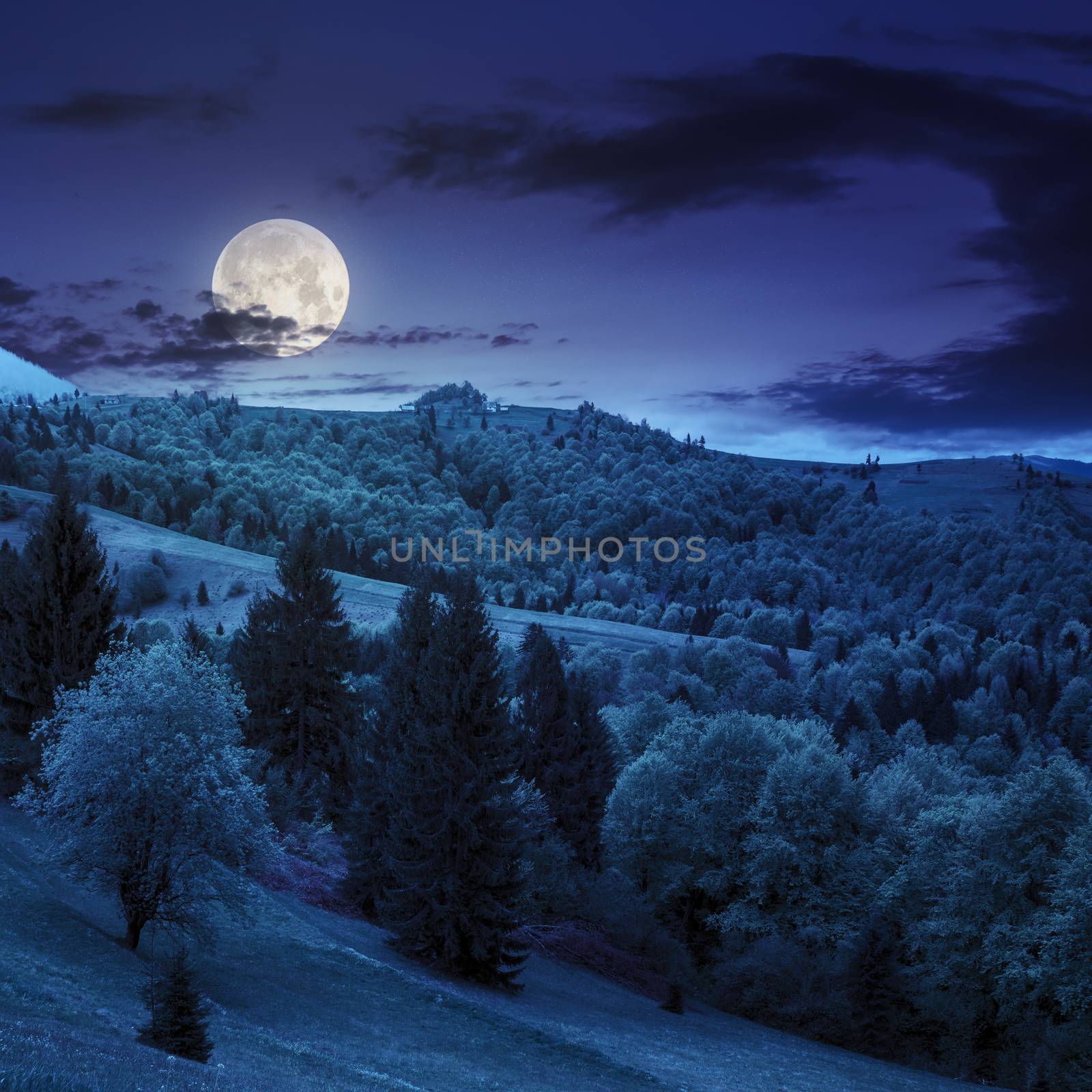 summer landscape. village on the hillside. forest on the mountain light fall on clearing on mountains at night in full moon light