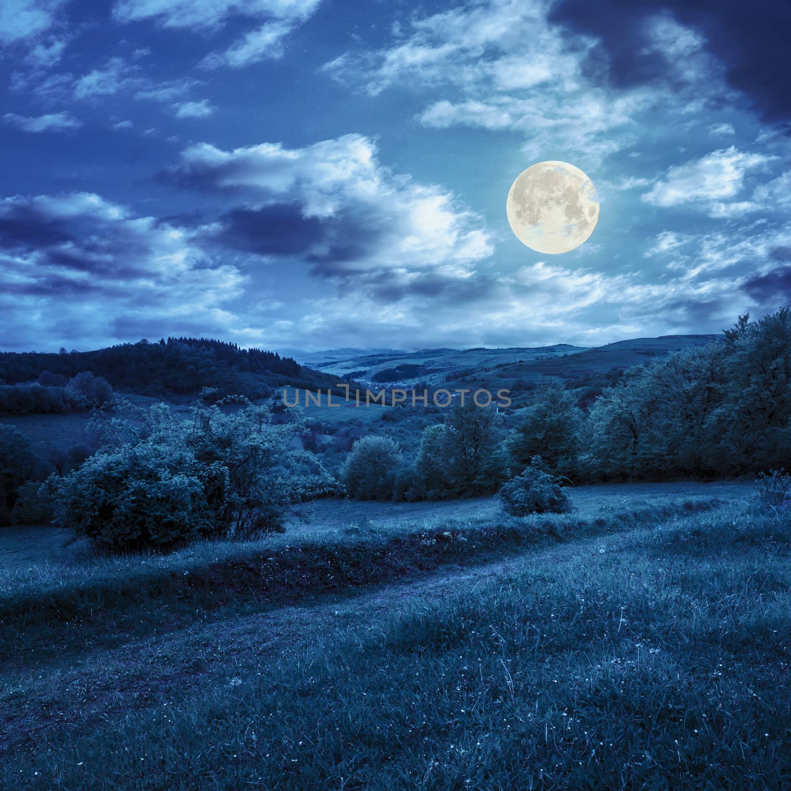 mountain summer landscape. pine trees near meadow and forest on hillside under  sky with clouds at night in full moon light