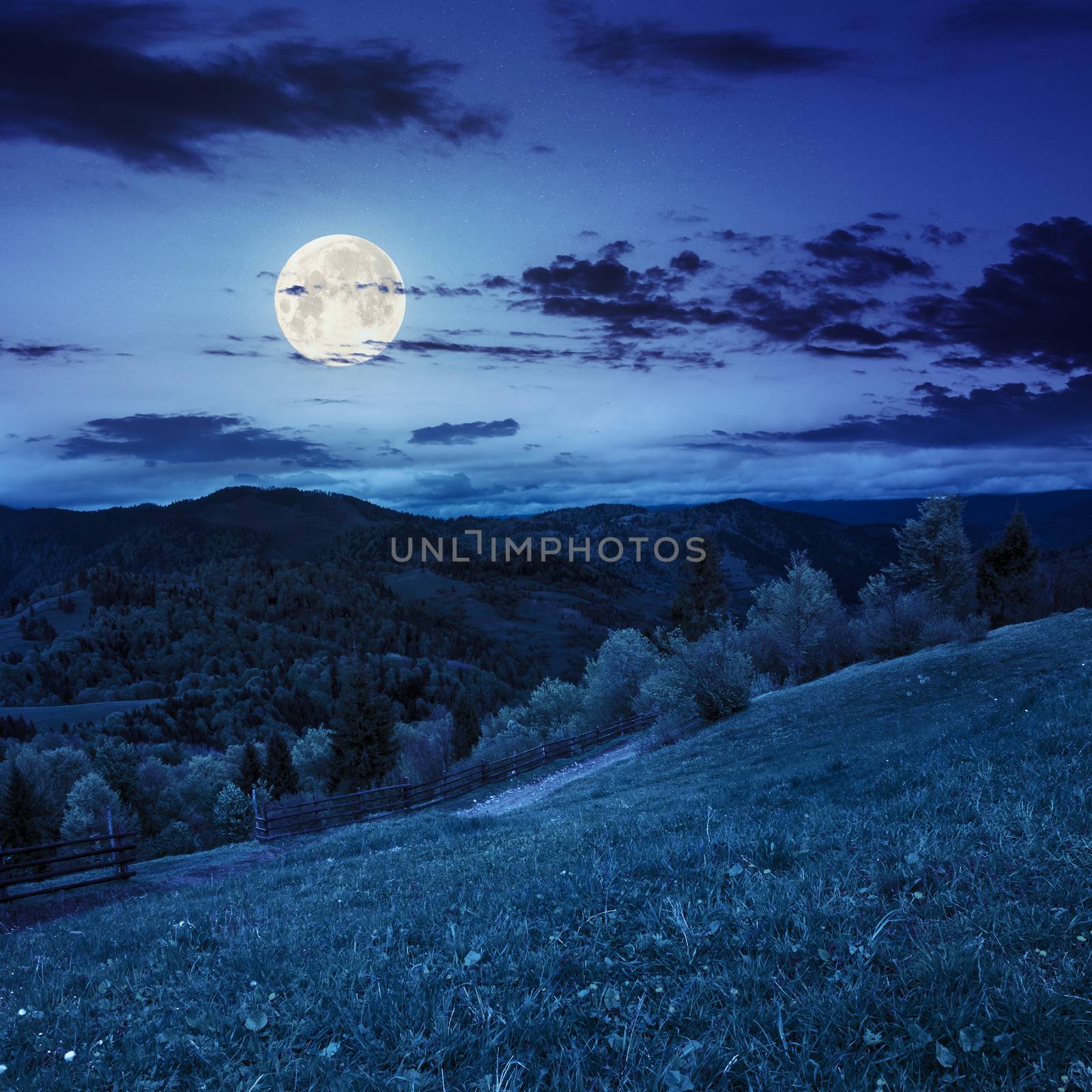 fence on hillside meadow in mountain at night by Pellinni