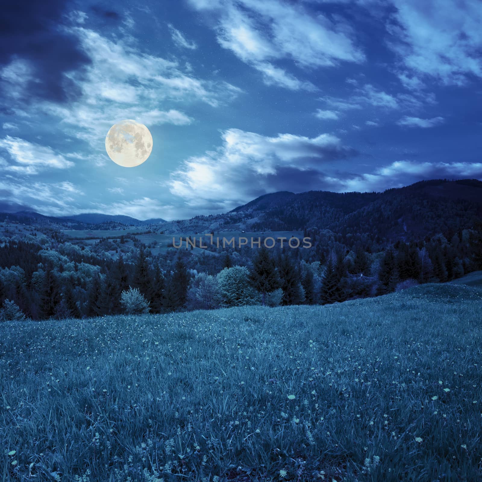 mountain summer landscape. pine trees near meadow and forest on hillside under  sky with clouds at night in full moon light