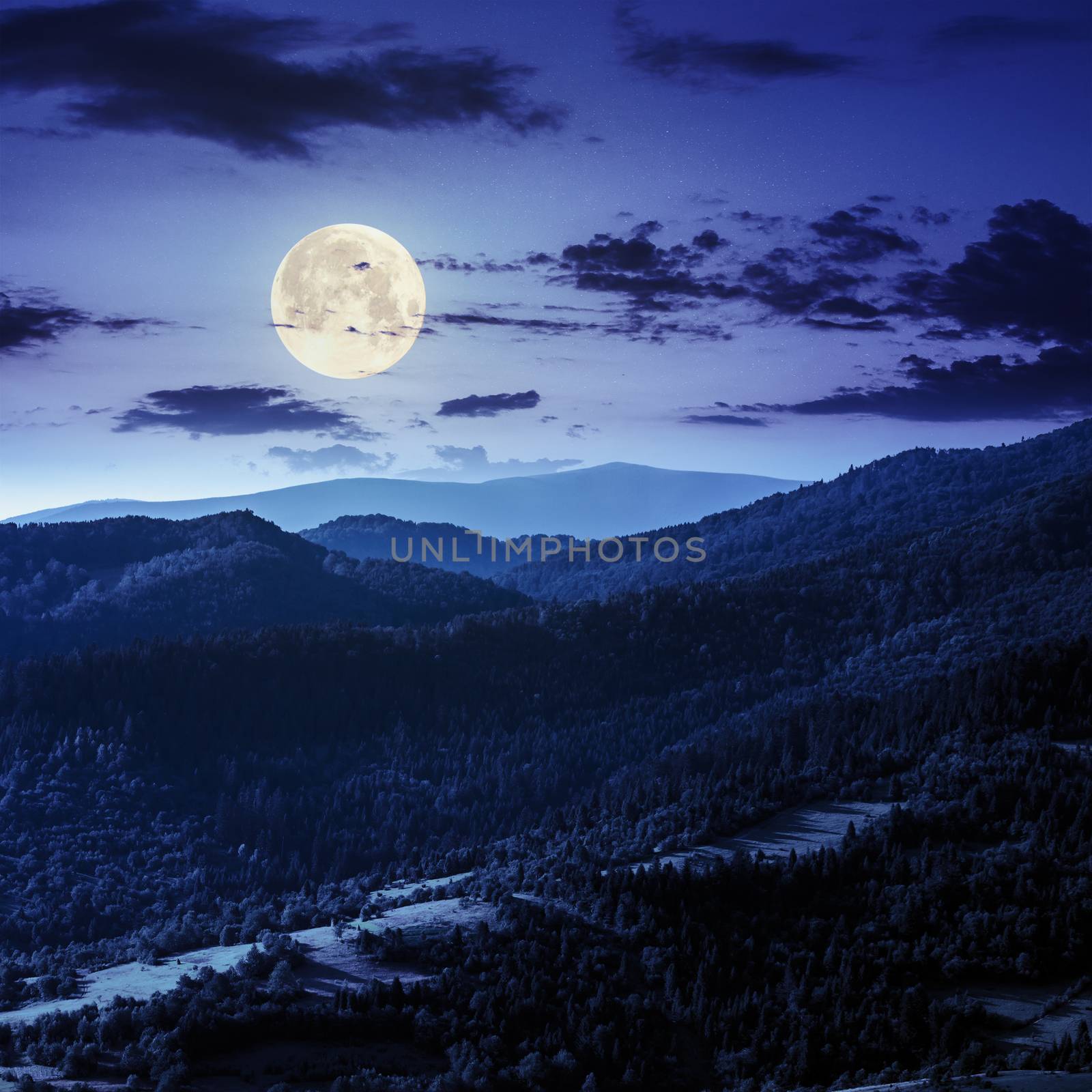 mountain range with coniferous forest on its slopes at night in full moon light