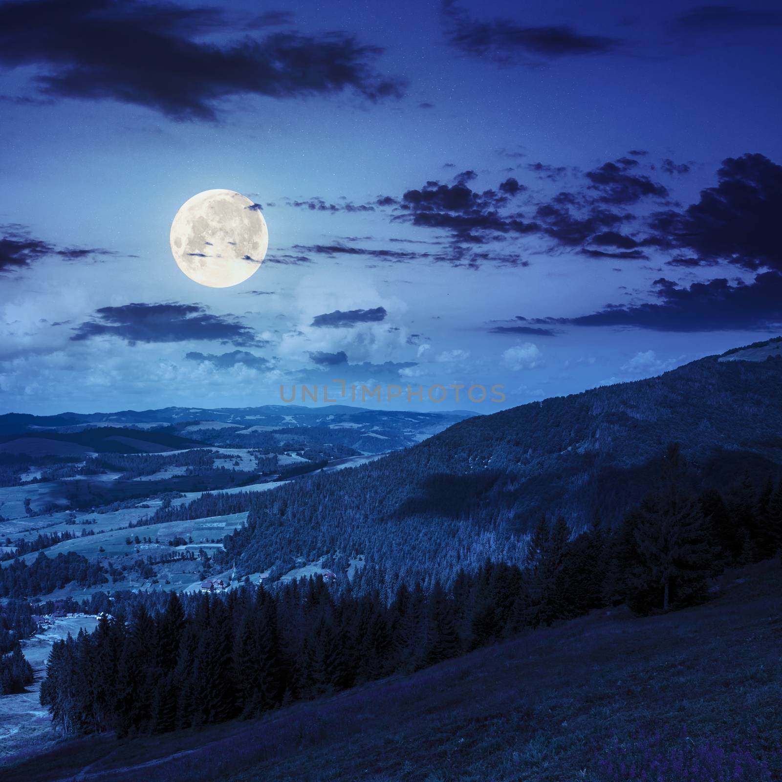 purple flowers on slope of mountain range with coniferous forest and village at night in full moon light