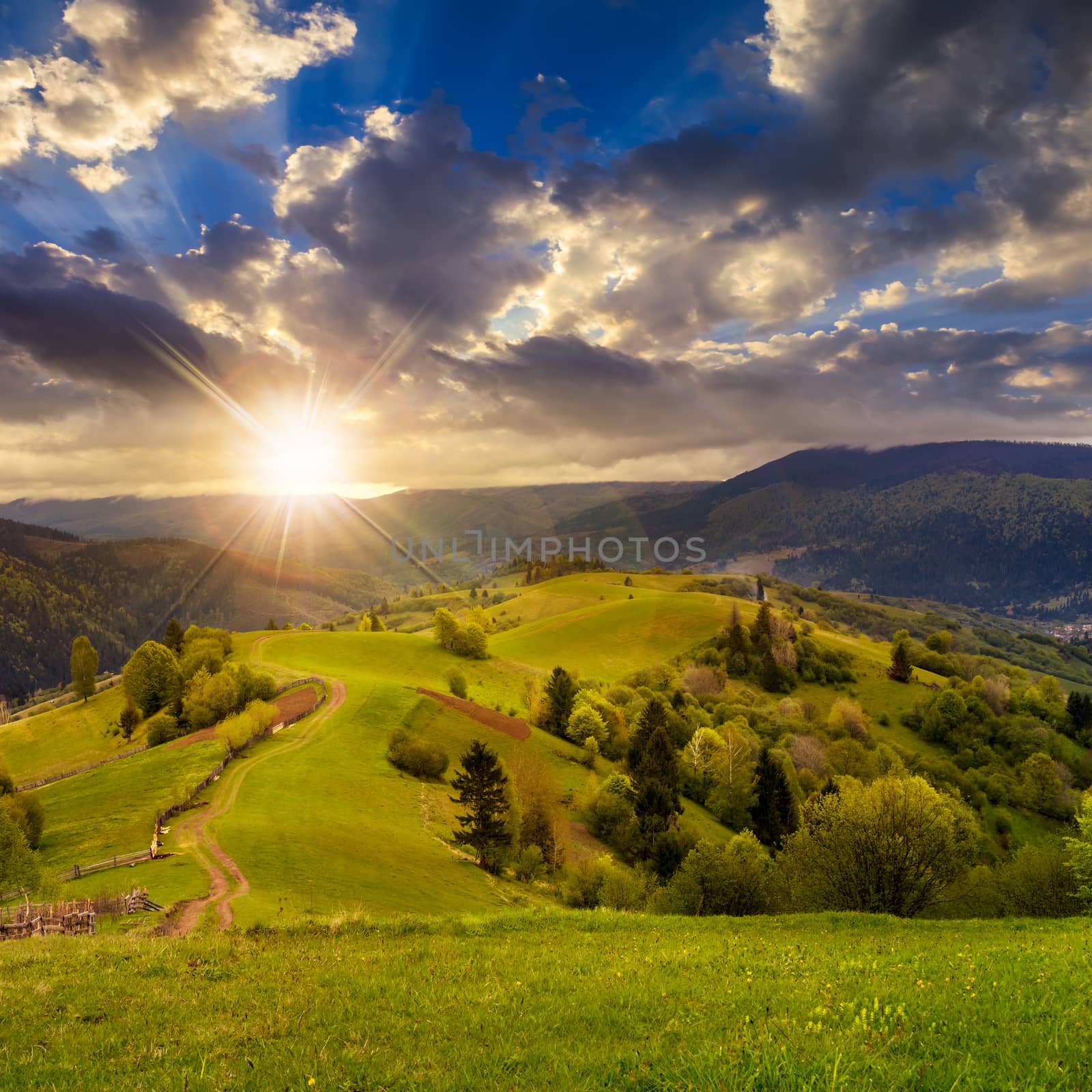 autumn landscape. fence near the meadow path on the hillside. forest in fog on the mountain in rays of sunset