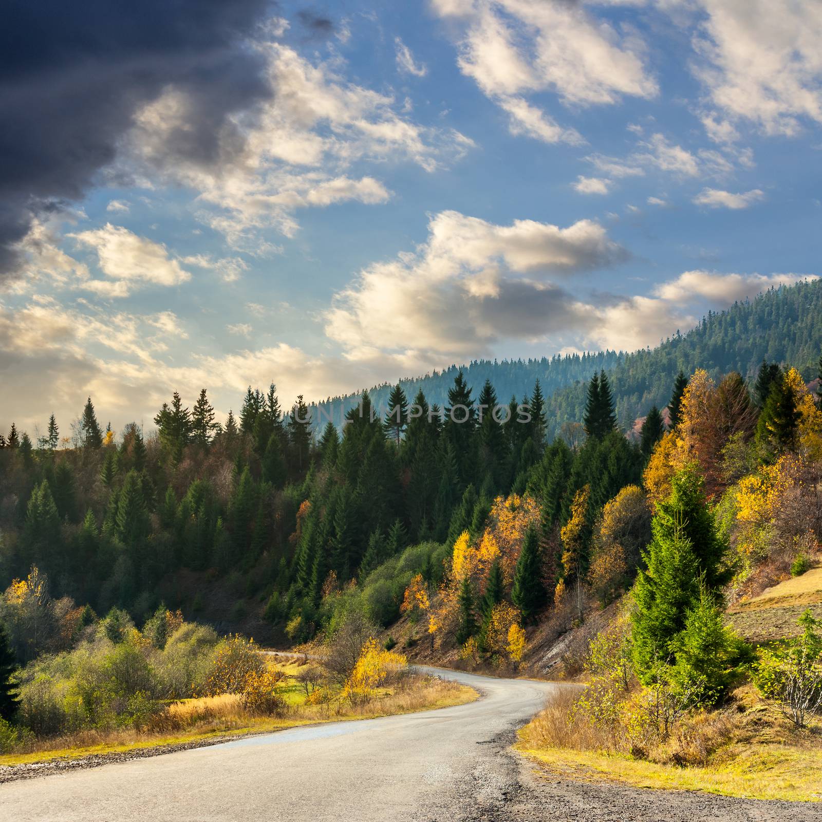 autumn mountain landscape. asphalt road going to mountains passes through the ever green coniferous shaded forest