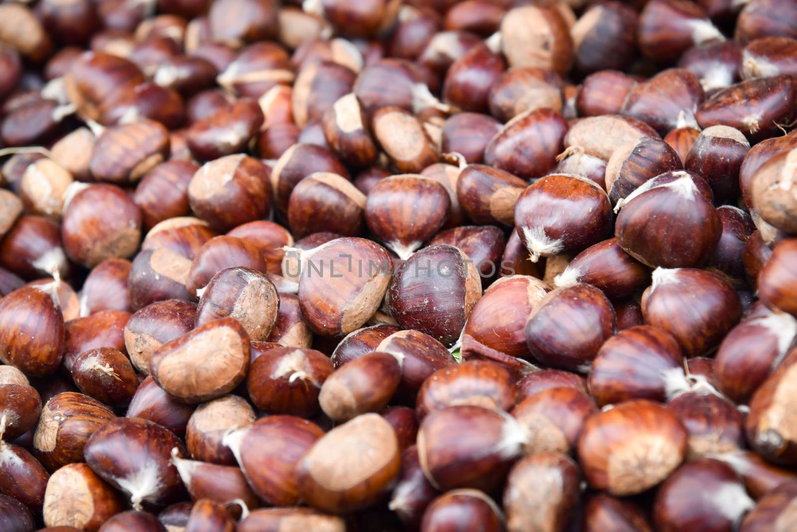 Closeup of a group of chestnuts . by LarisaP