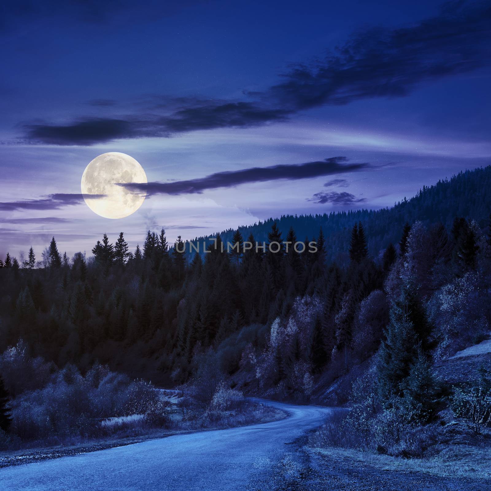 autumn mountain landscape. asphalt road going to mountains passes through the ever green coniferous shaded forest at night in full moon light