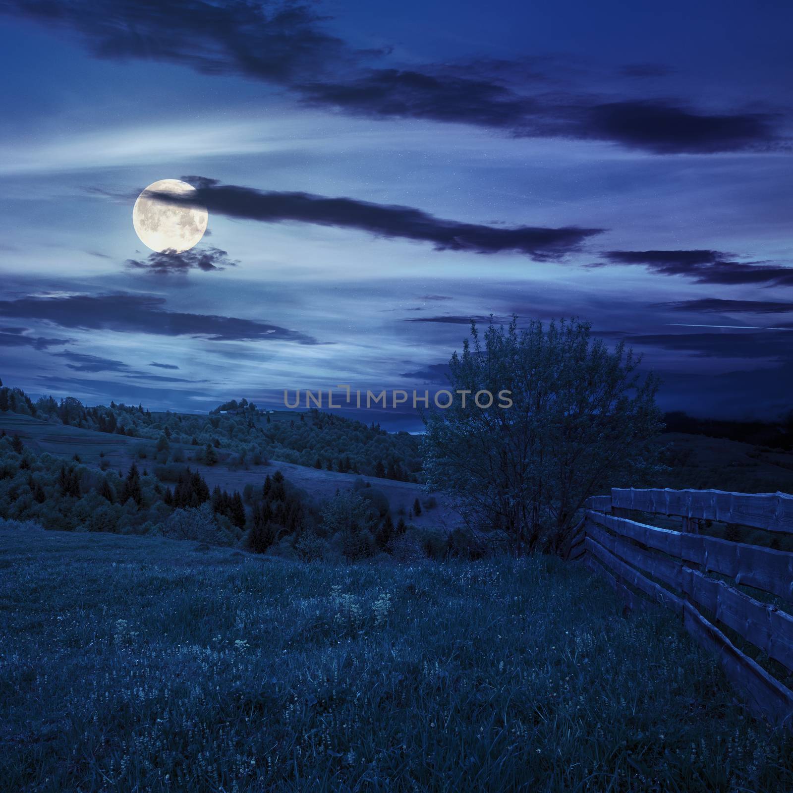 autumn landscape. fence near the meadow path on the hillside. forest in fog on the mountain at night in full moon light